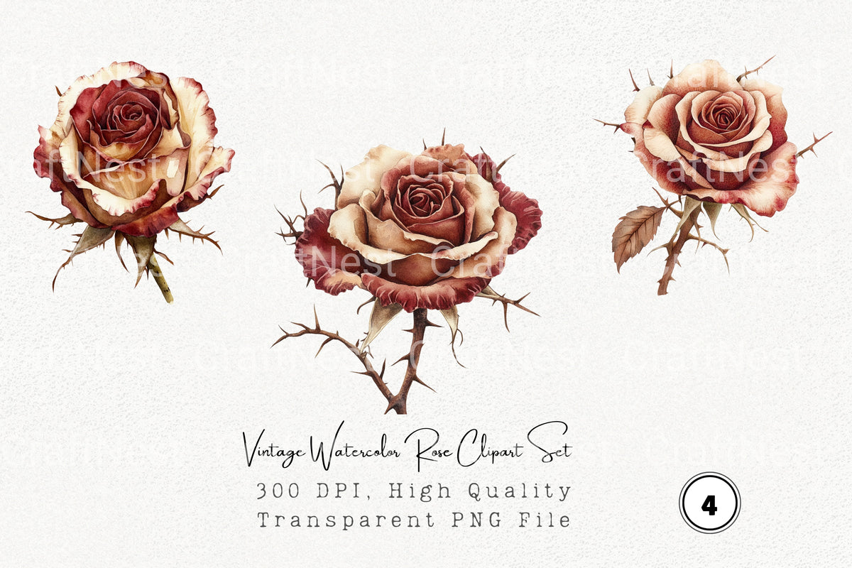 Vintage Rose Clipart Bundle