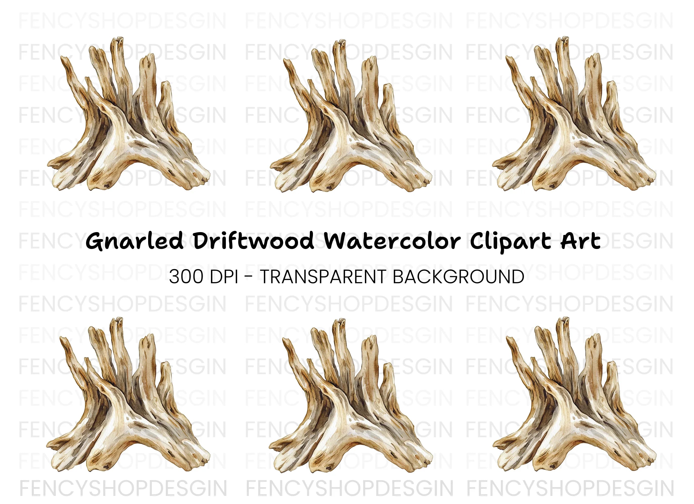 Natural Wood Root Illustration Clipart Bundle