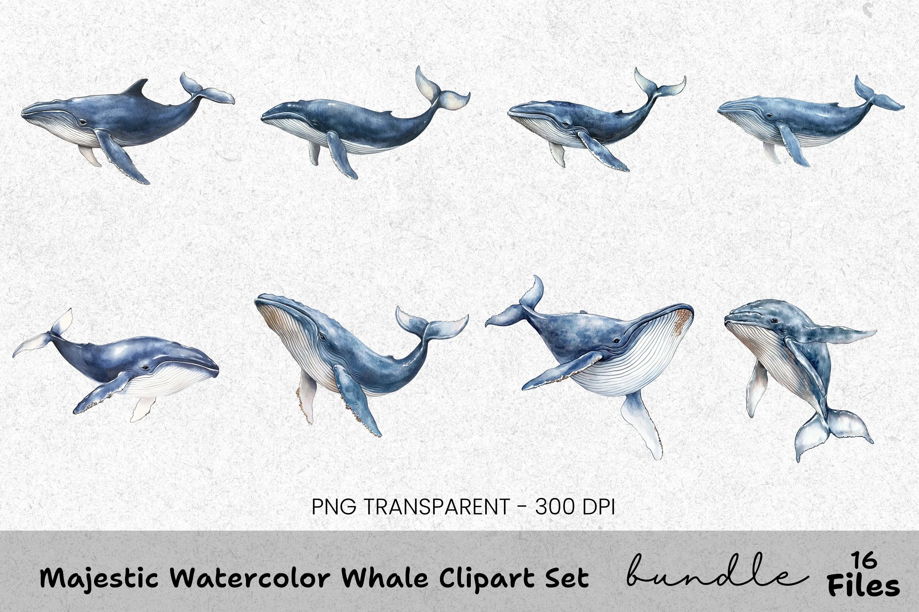 Majestic Whale Clipart Bundle