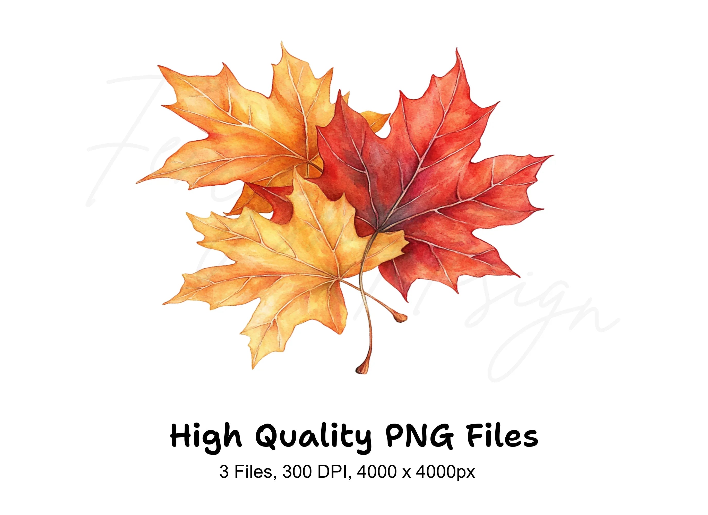 Autumn Leaves Clipart Bundle