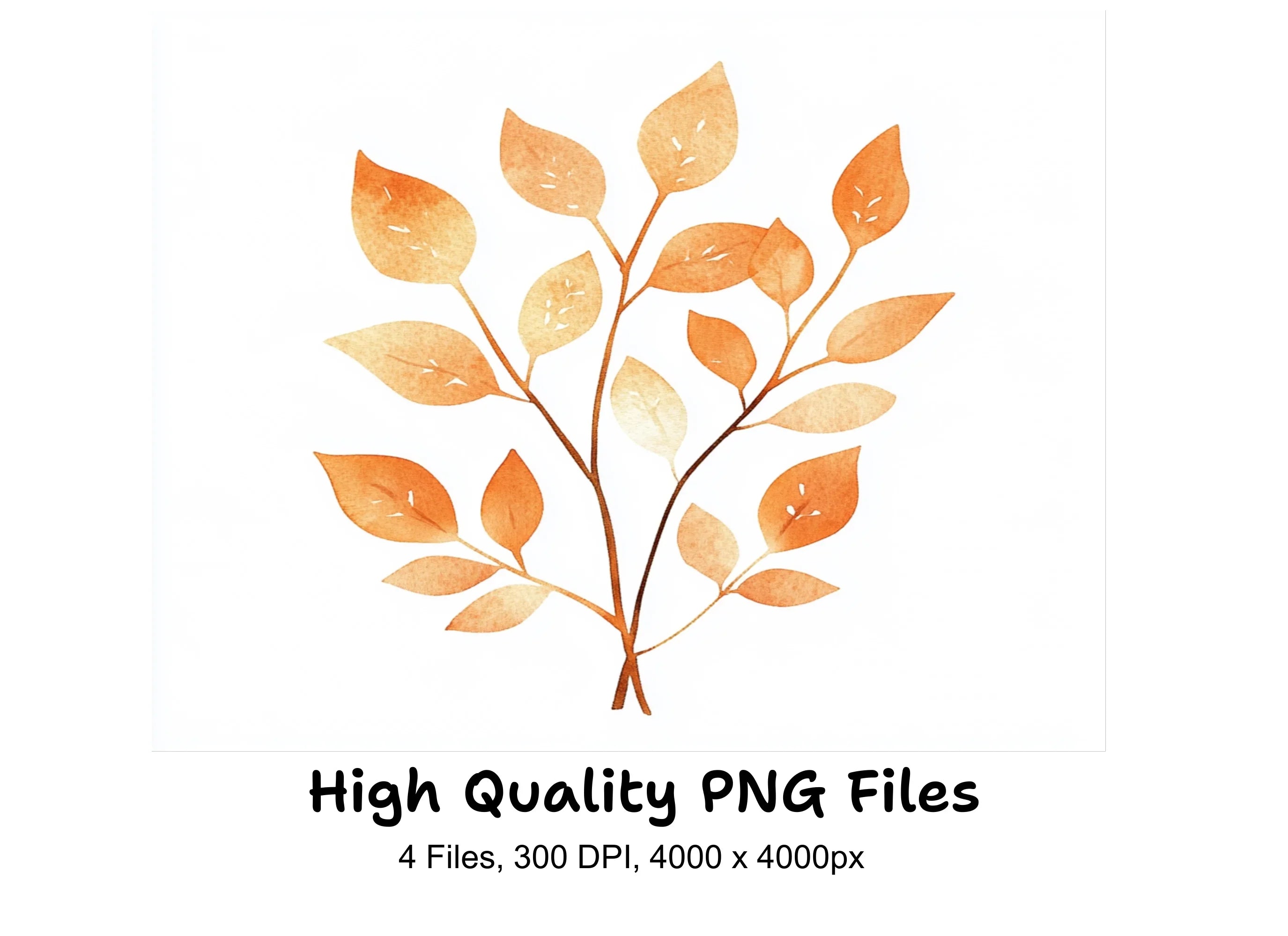 Autumn Leaves and Berries Clipart Bundle