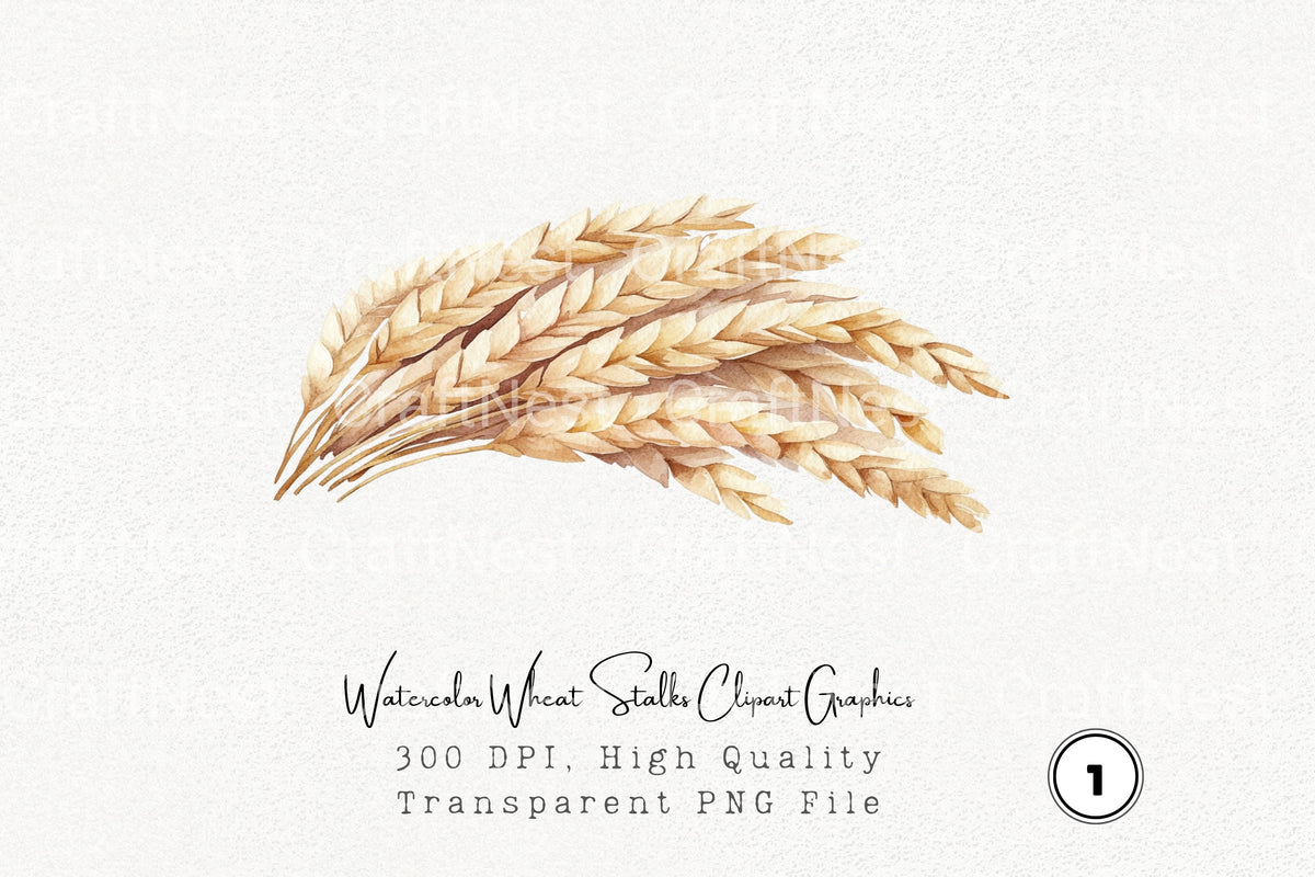 Wheat Stalks Graphics Clipart Bundle