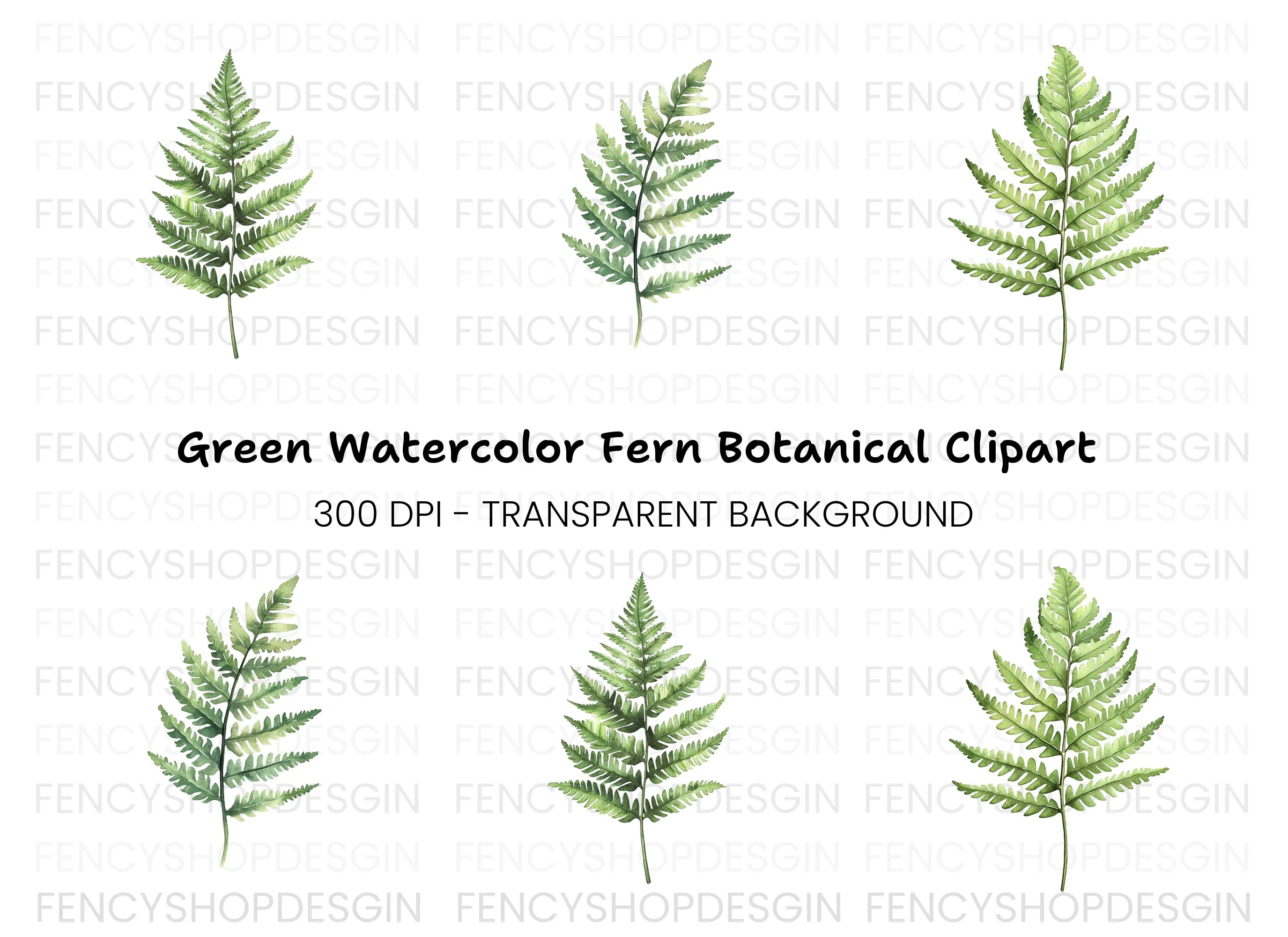 Fern Leaves Clipart Bundle