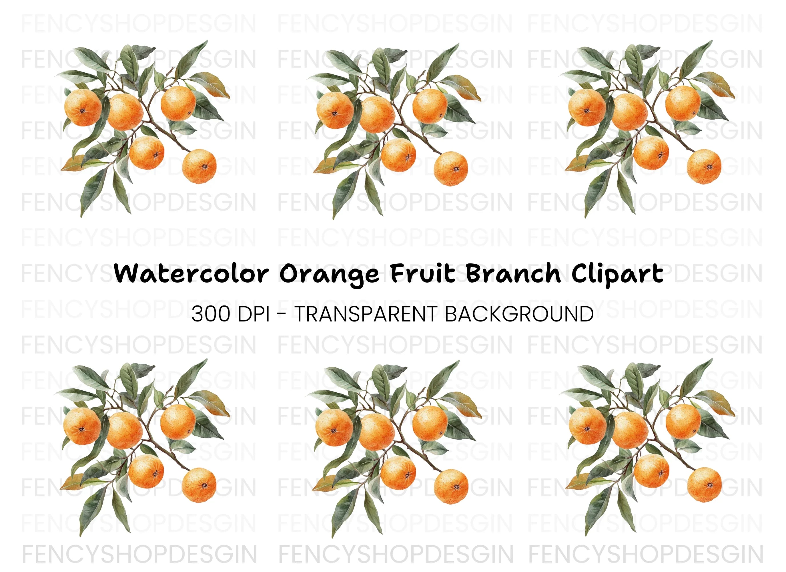 Orange Fruit Branch Clipart Bundle