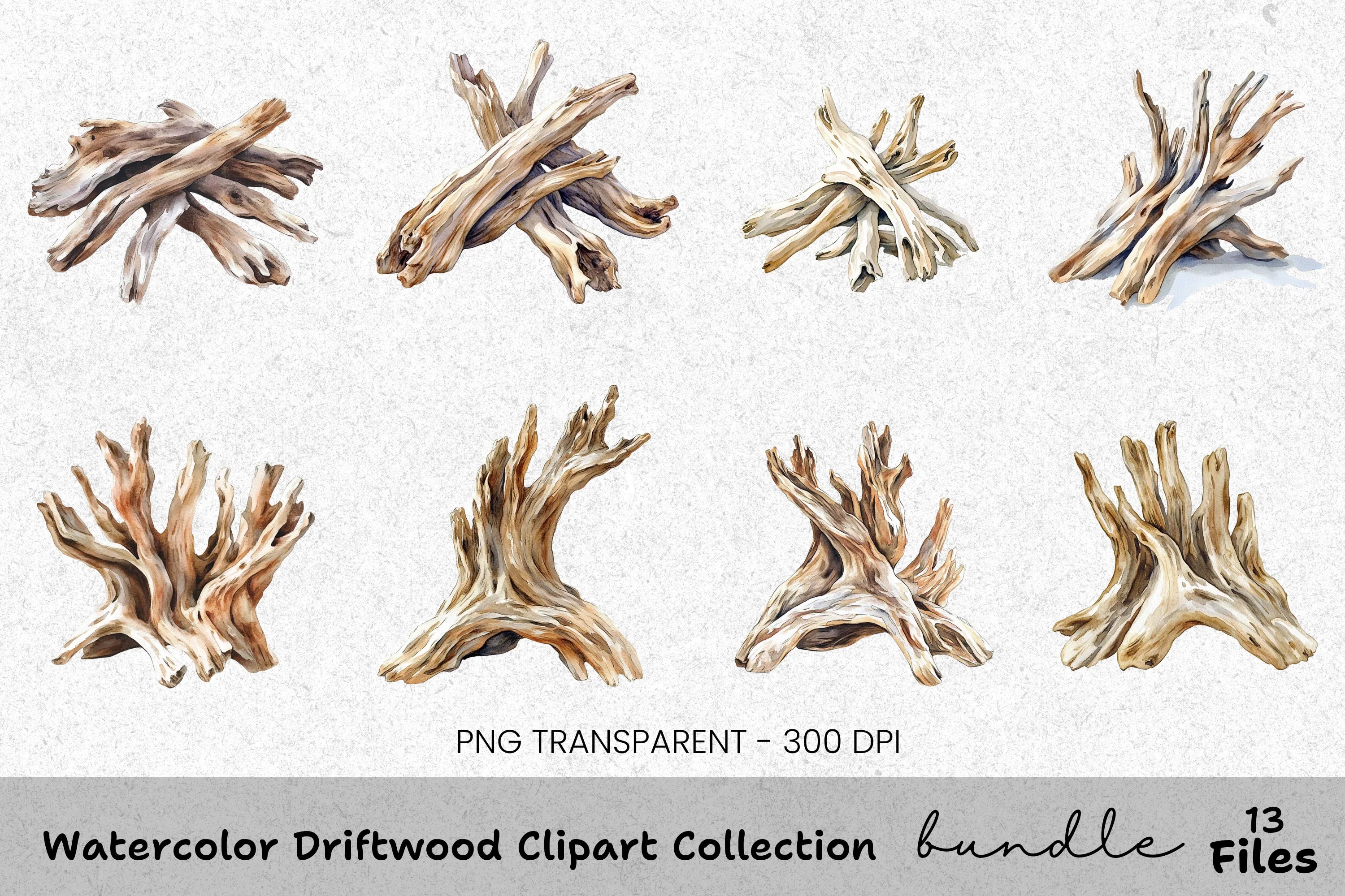 Driftwood Clipart Bundle