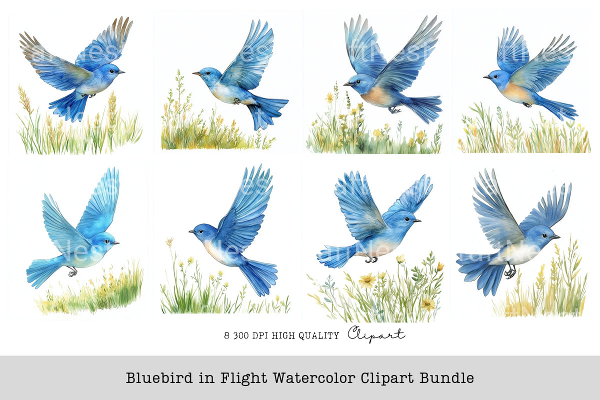 Bluebird In Flight Clipart Bundle