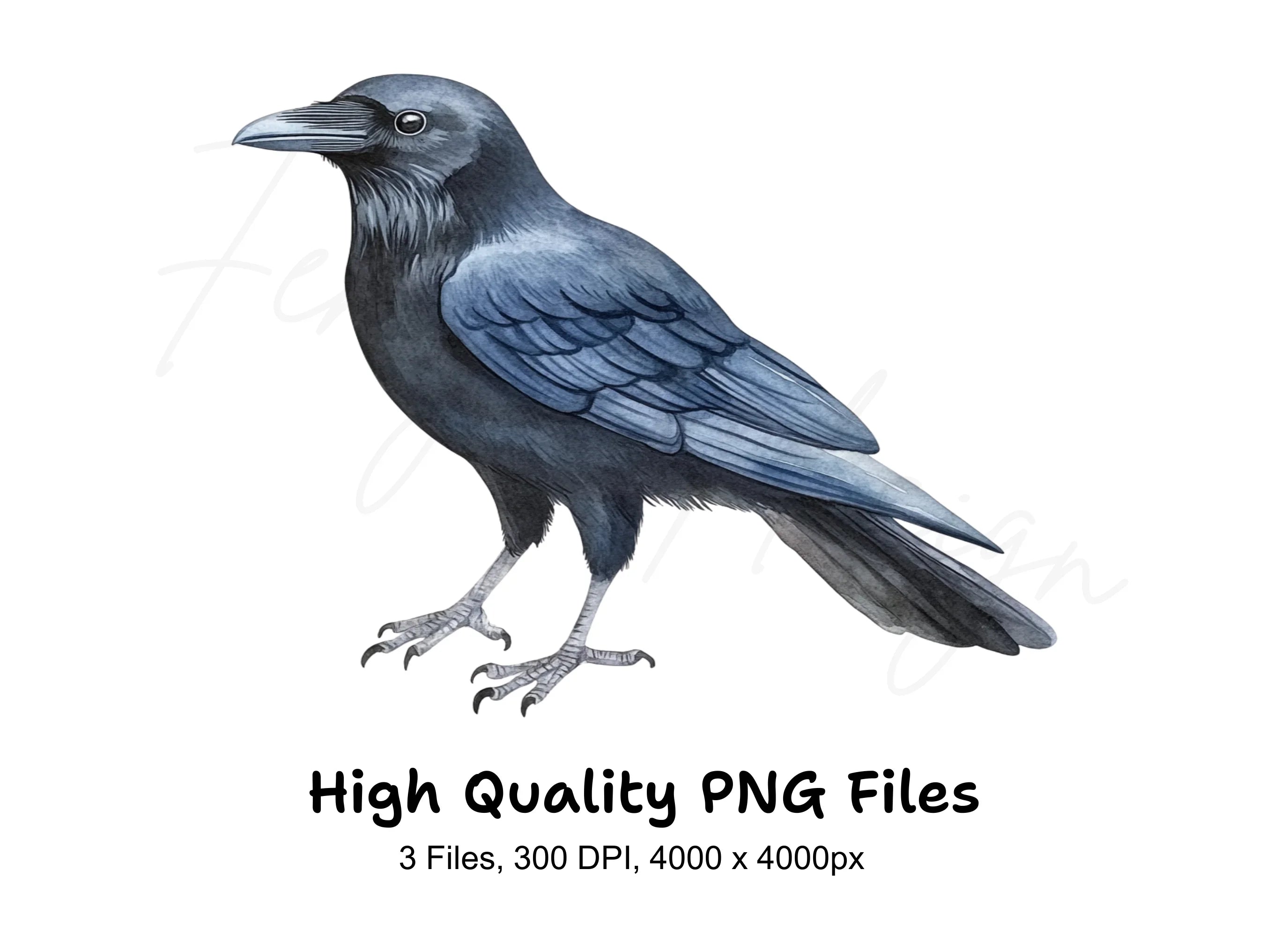 Black Crow Bird Clipart Bundle