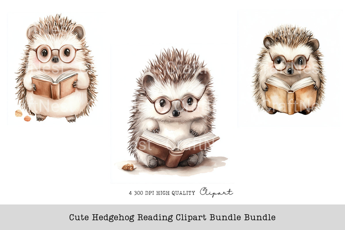 Cute Hedgehog Reading Clipart Bundle