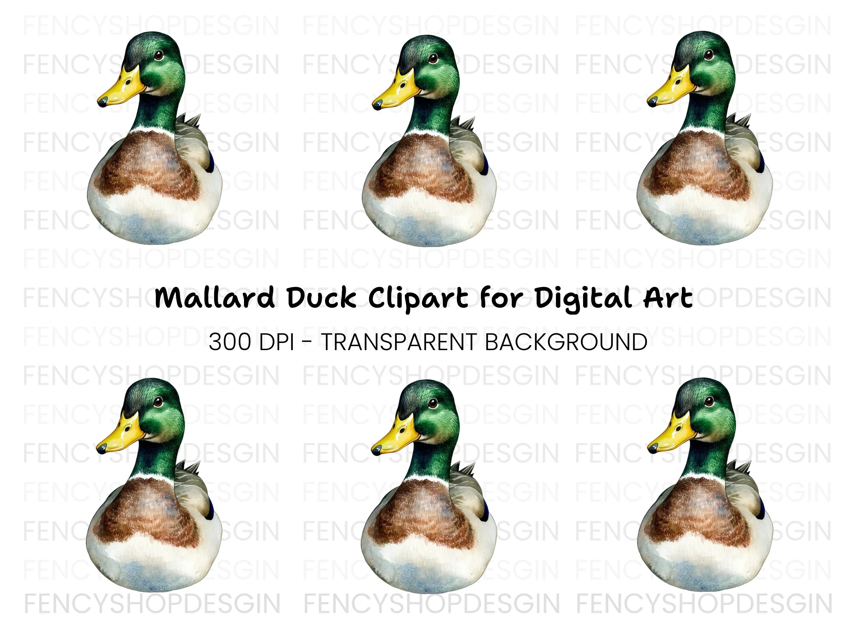 Front View Mallard Duck Clipart Bundle