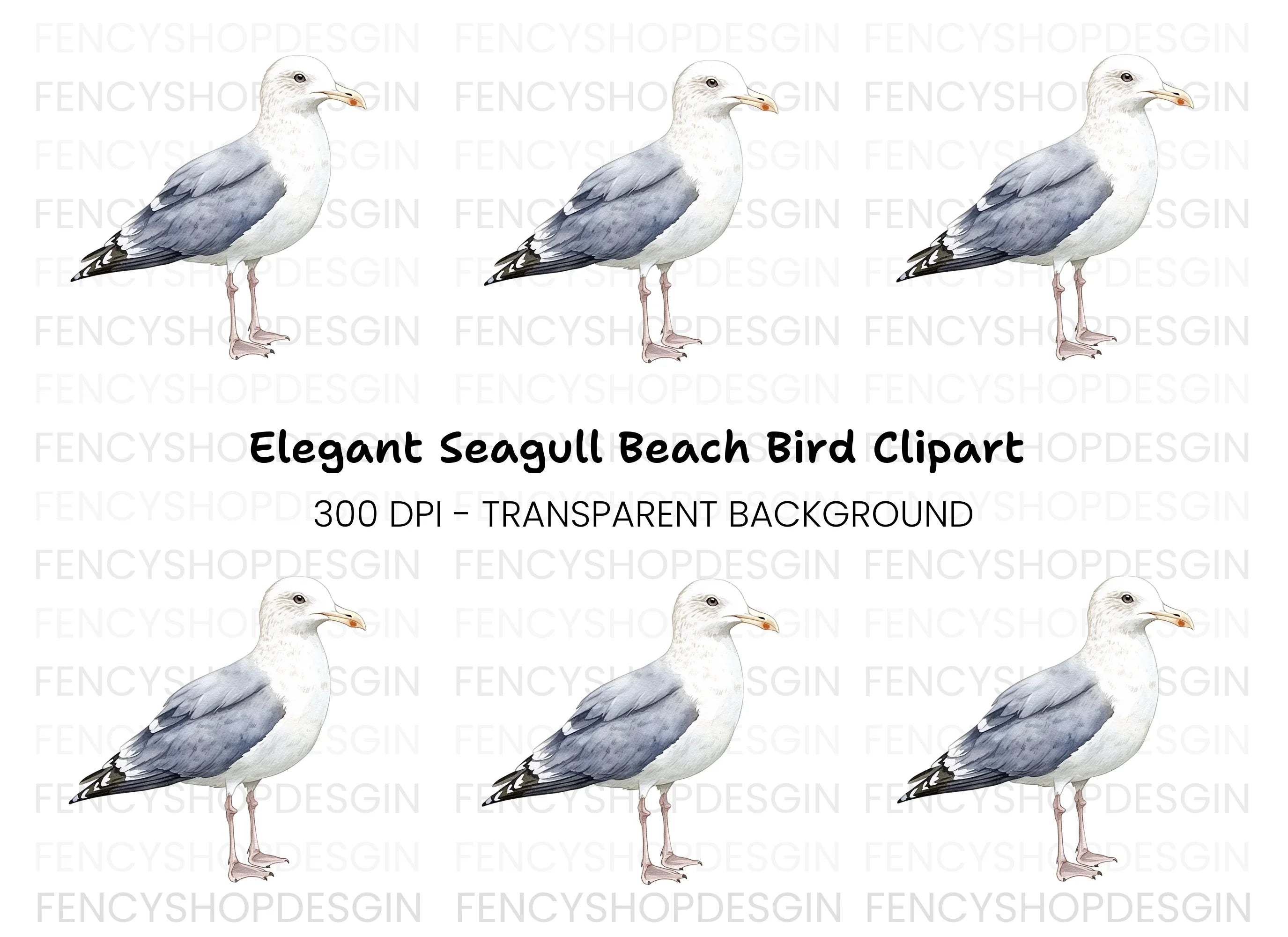 Elegant Seagull Bird Clipart Bundle
