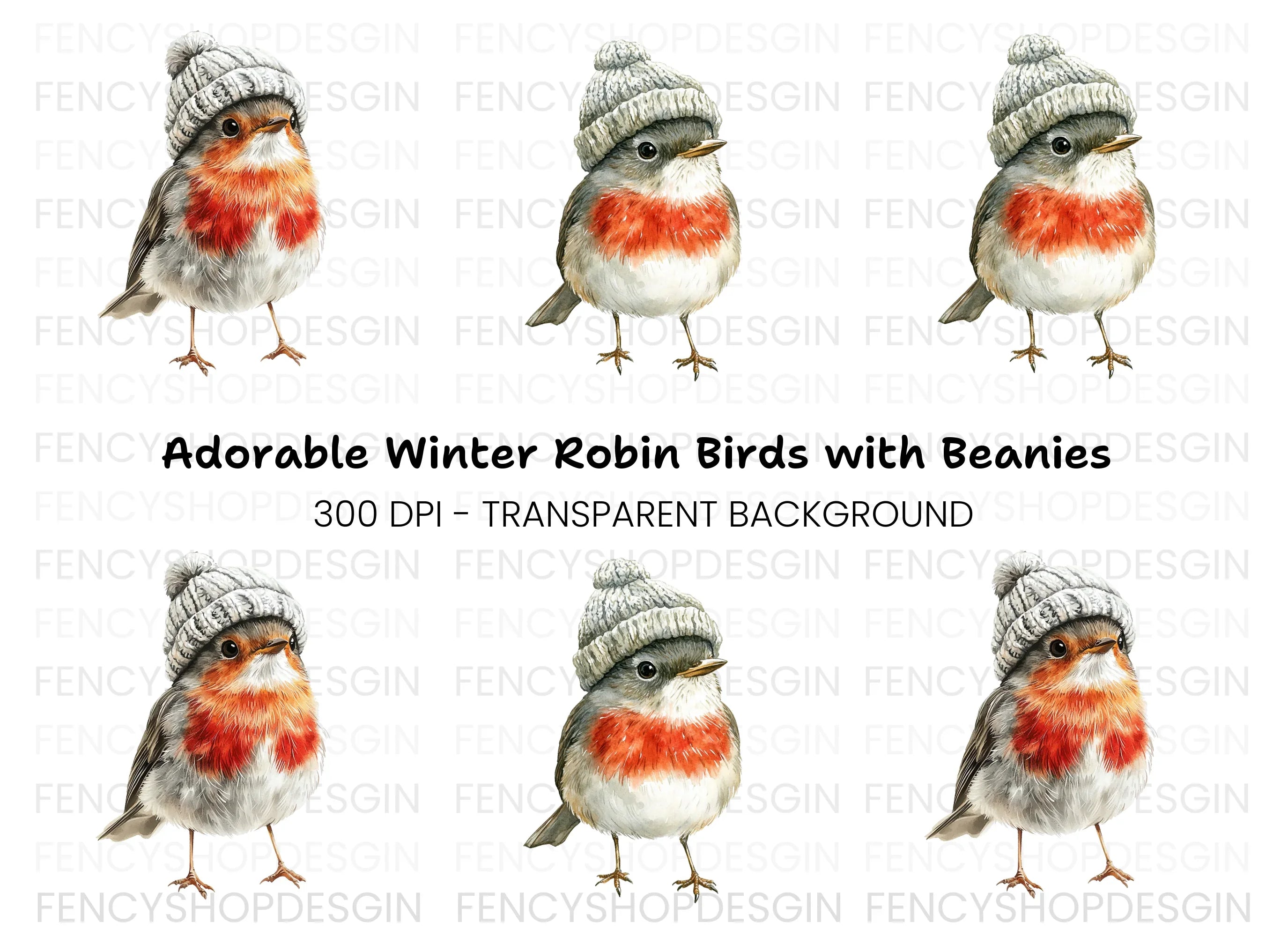 Cute Robin Bird in Winter Hat Clipart Bundle