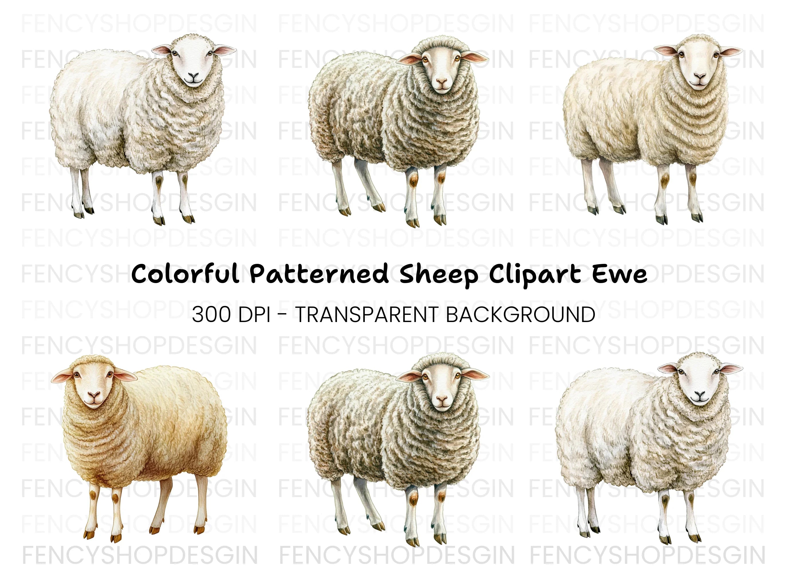 Three Fluffy Sheep Clipart Bundle