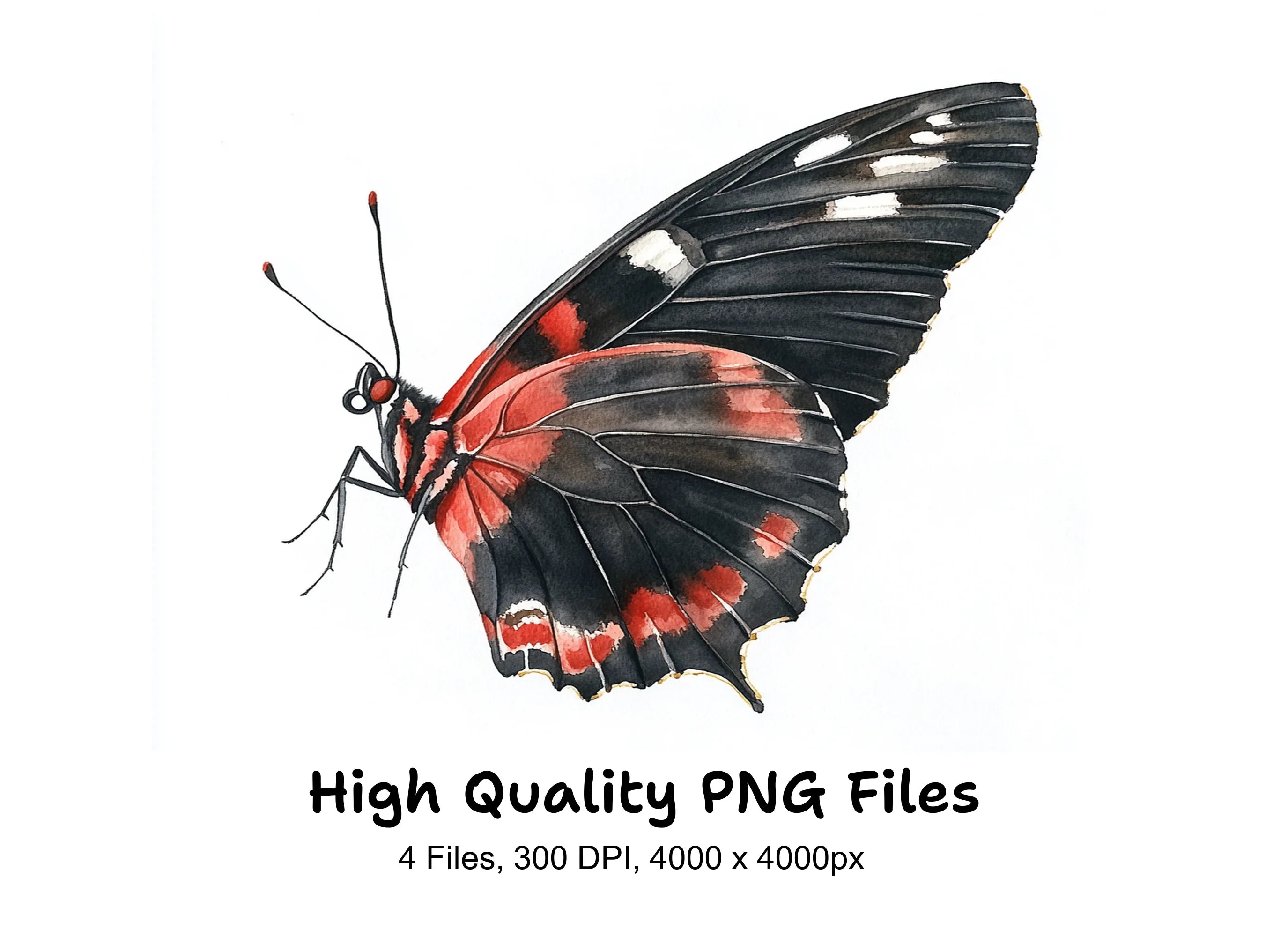 Elegant Red and Black Butterfly Clipart Bundle