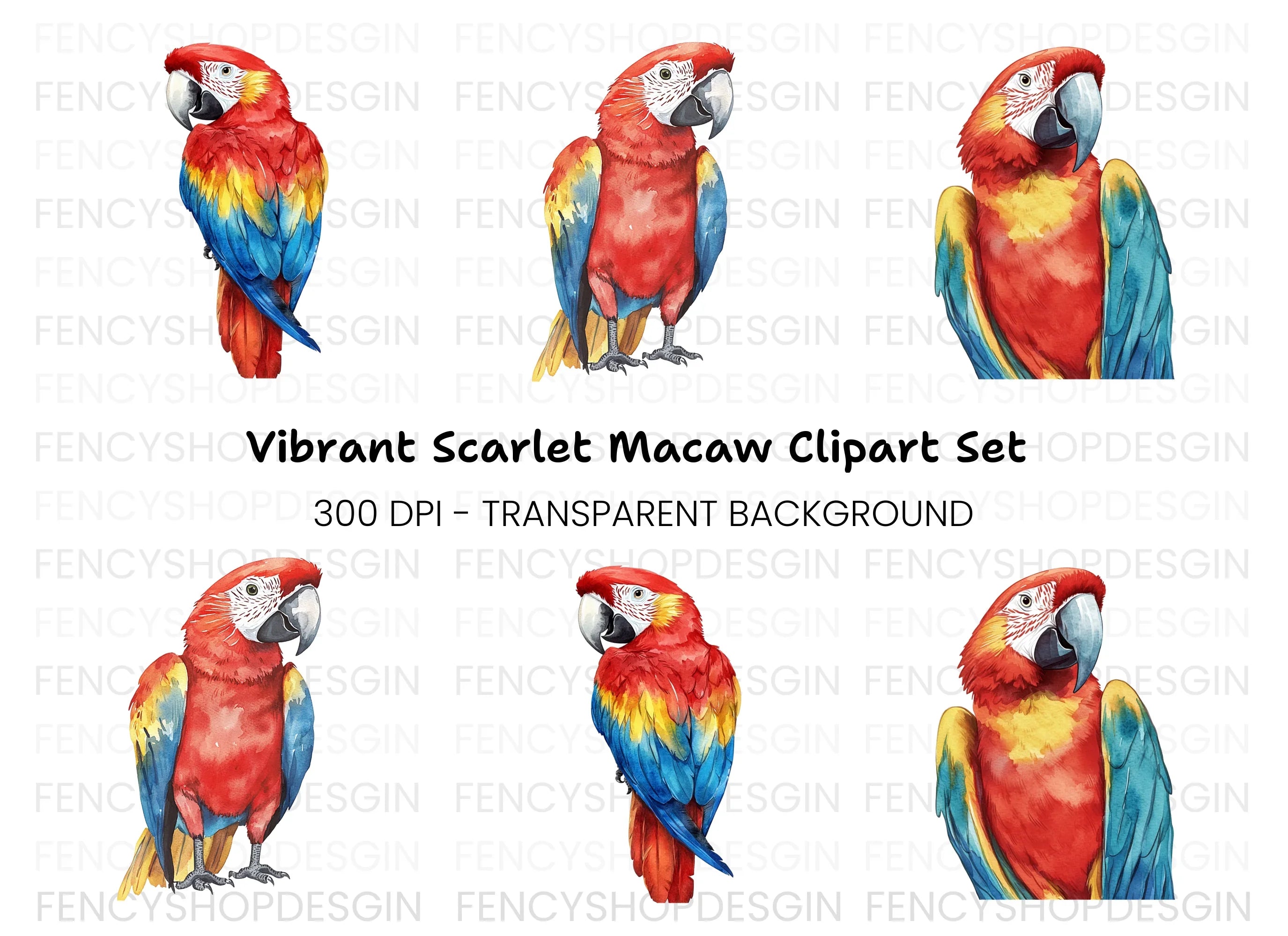Vibrant Macaw Parrot Clipart Bundle