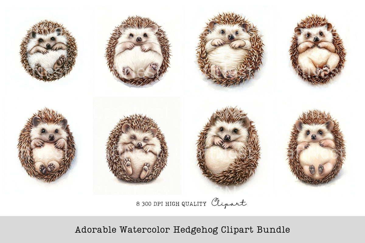 Adorable Hedgehog Clipart Bundle