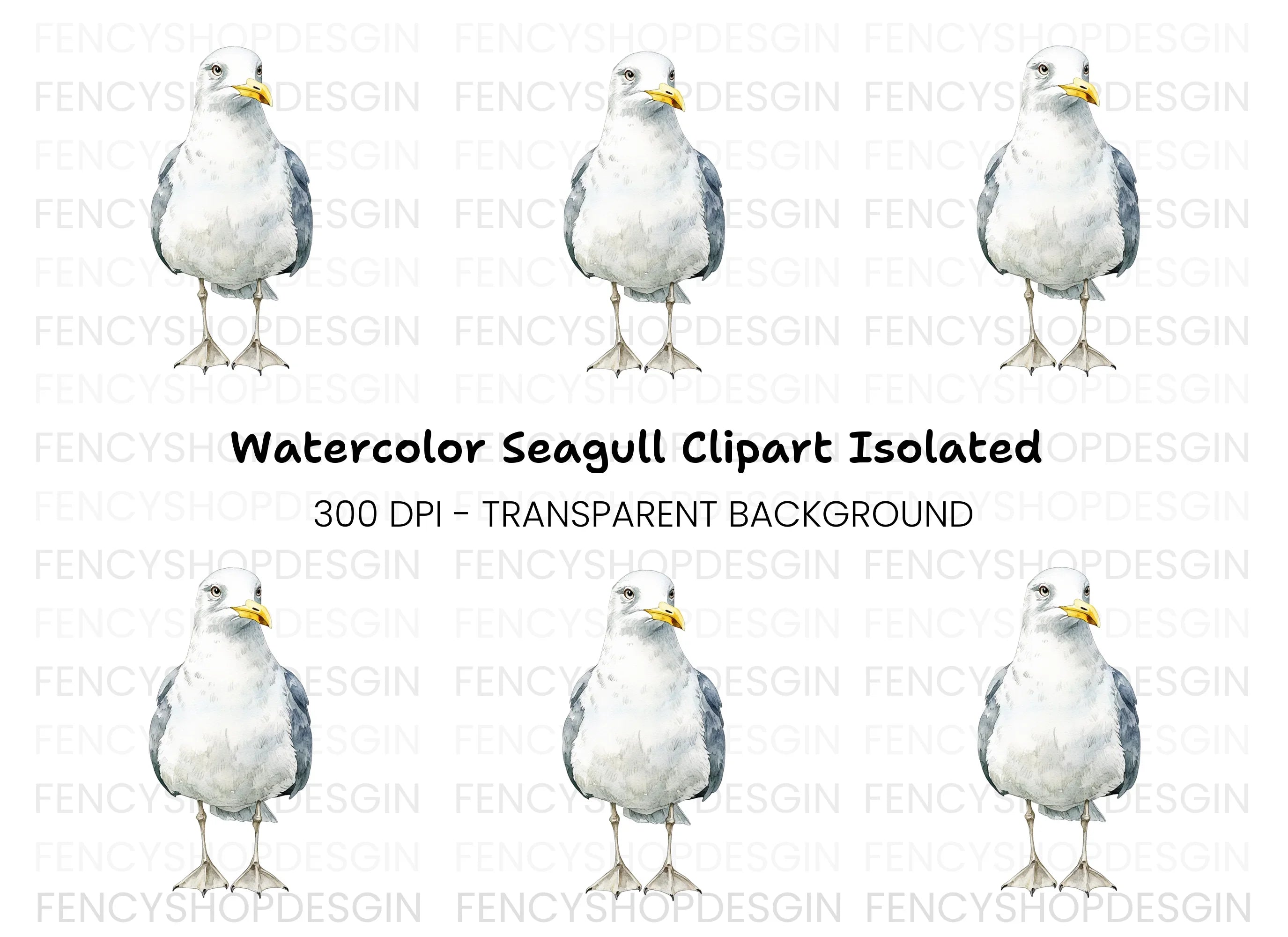 Seagull Illustration Clipart Bundle