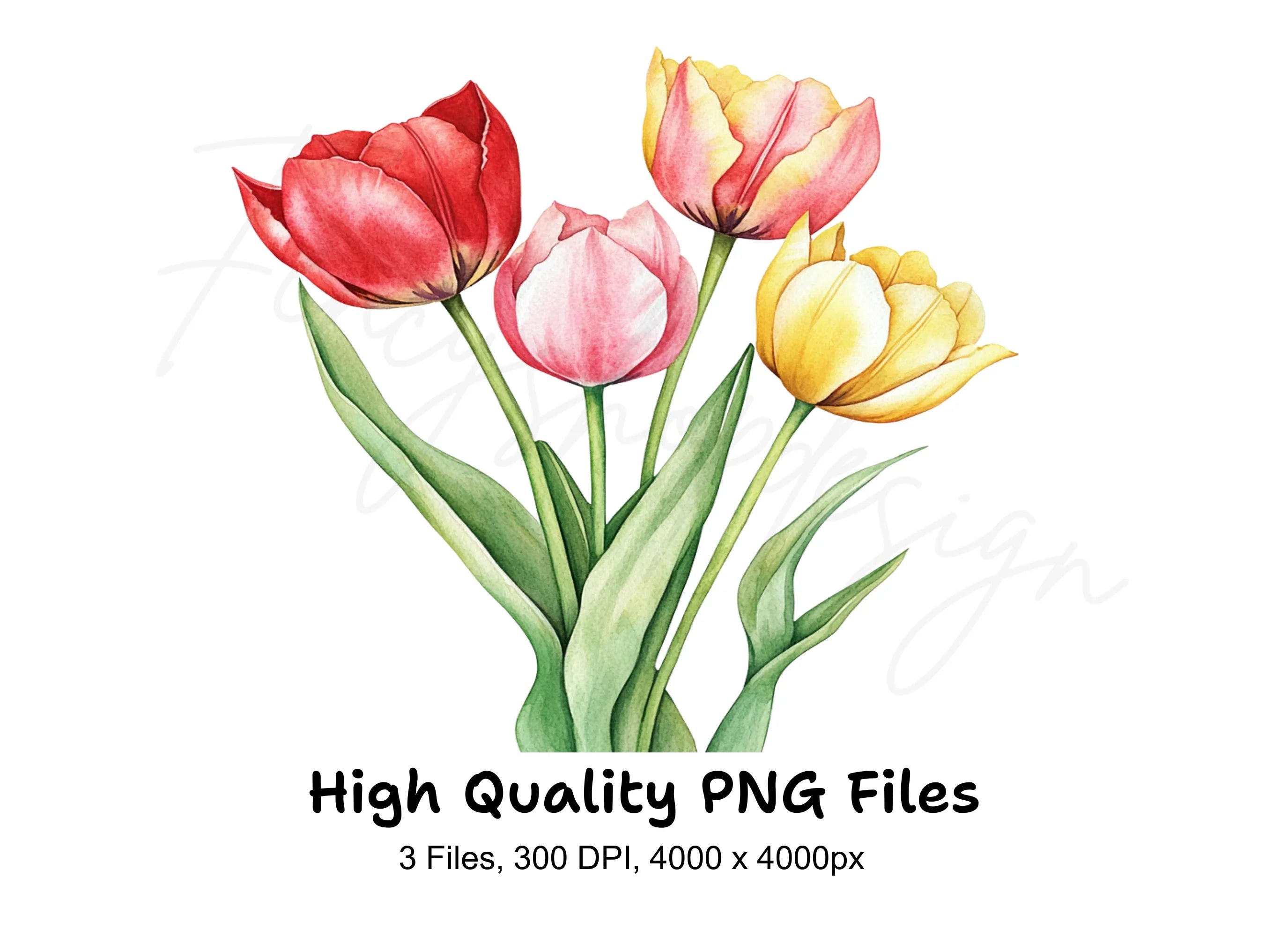 Tulip Bouquets Clipart Bundle
