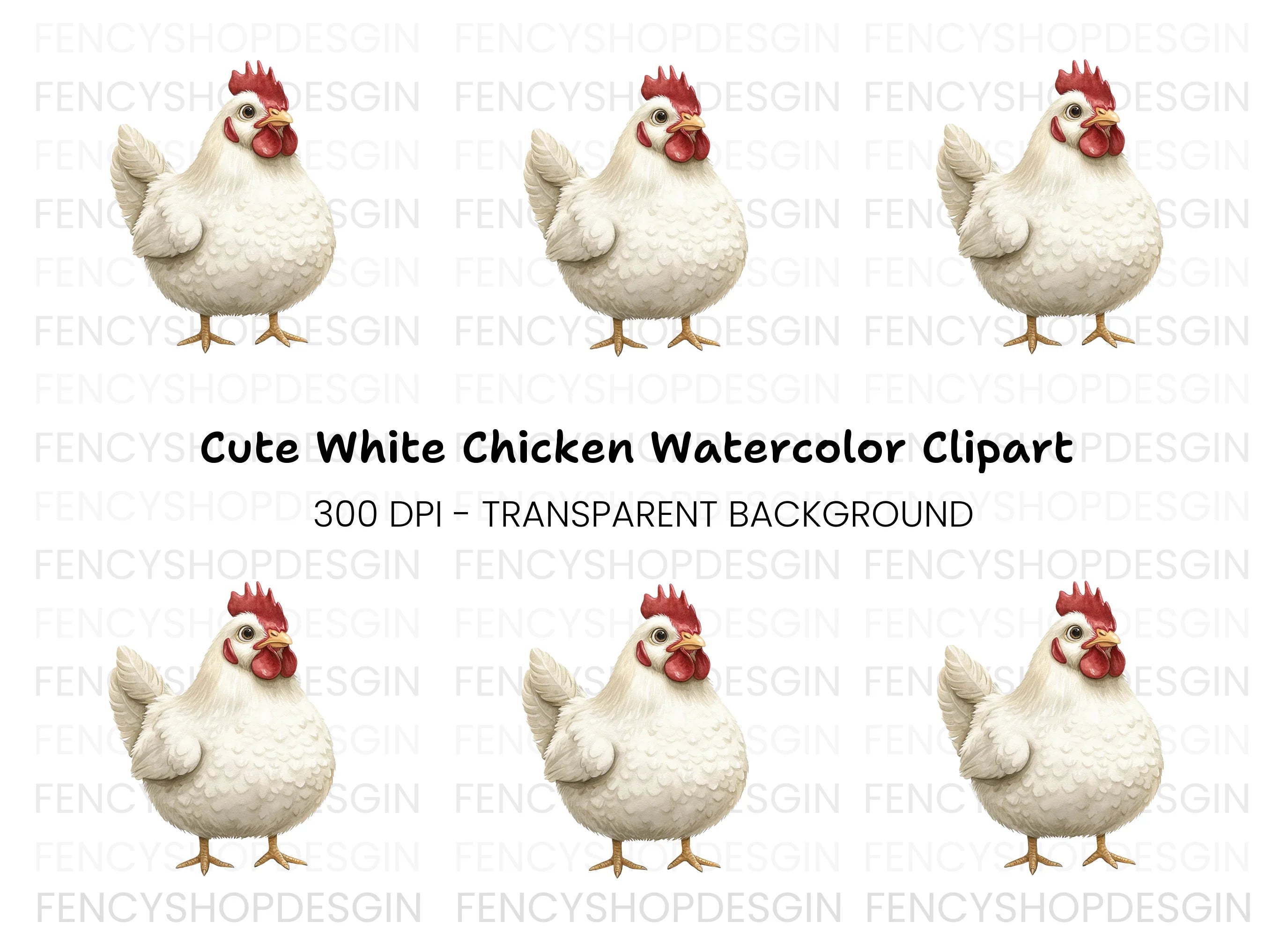 Cute White Hen Illustration Clipart Bundle