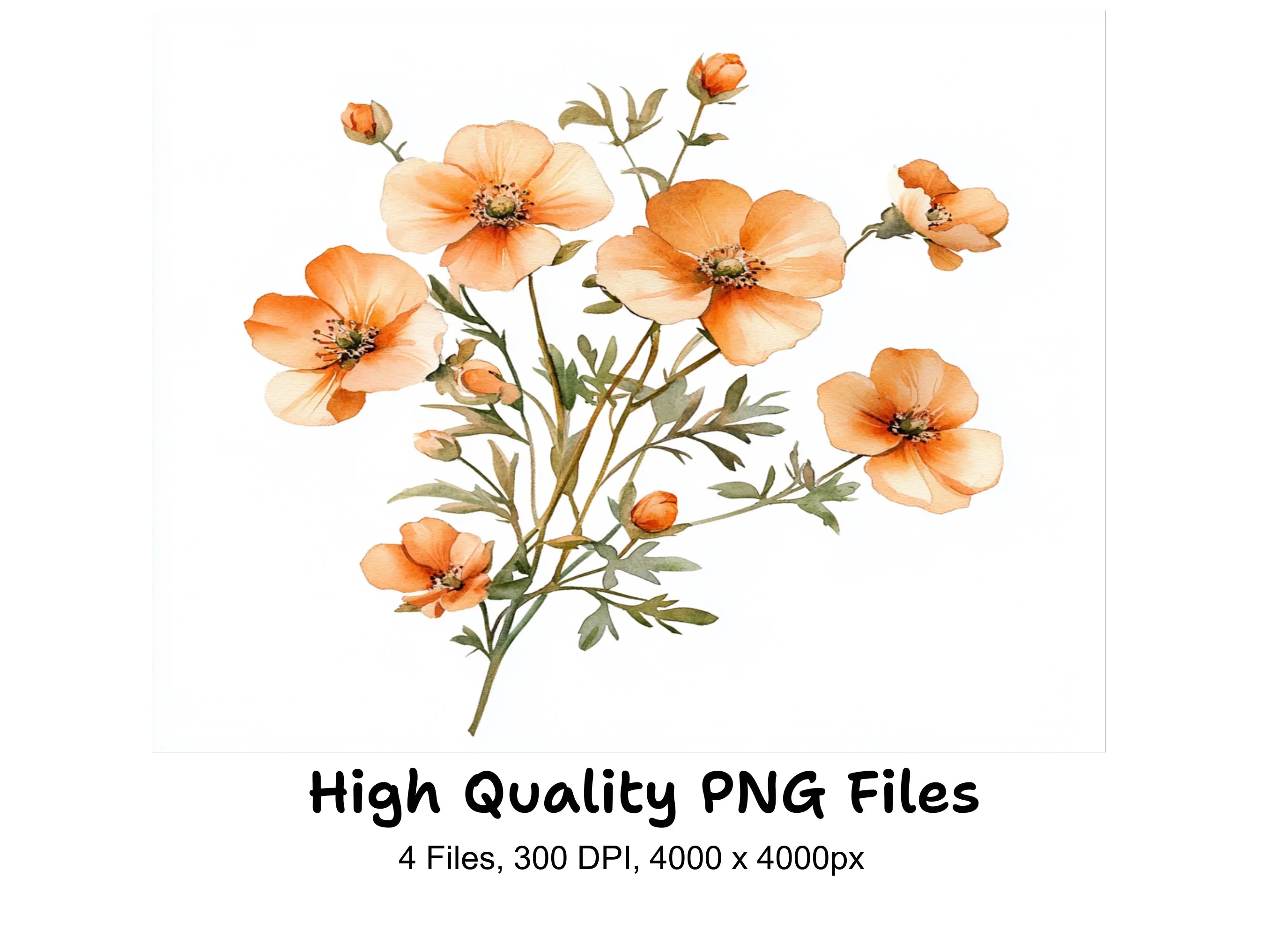 Delicate Orange Floral Clipart Bundle