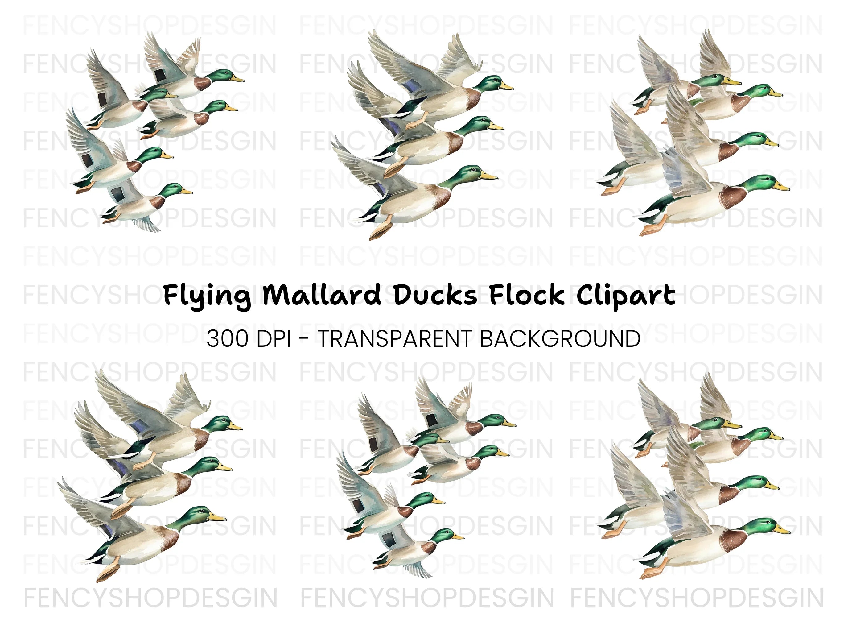 Flying Mallard Ducks Clipart Bundle