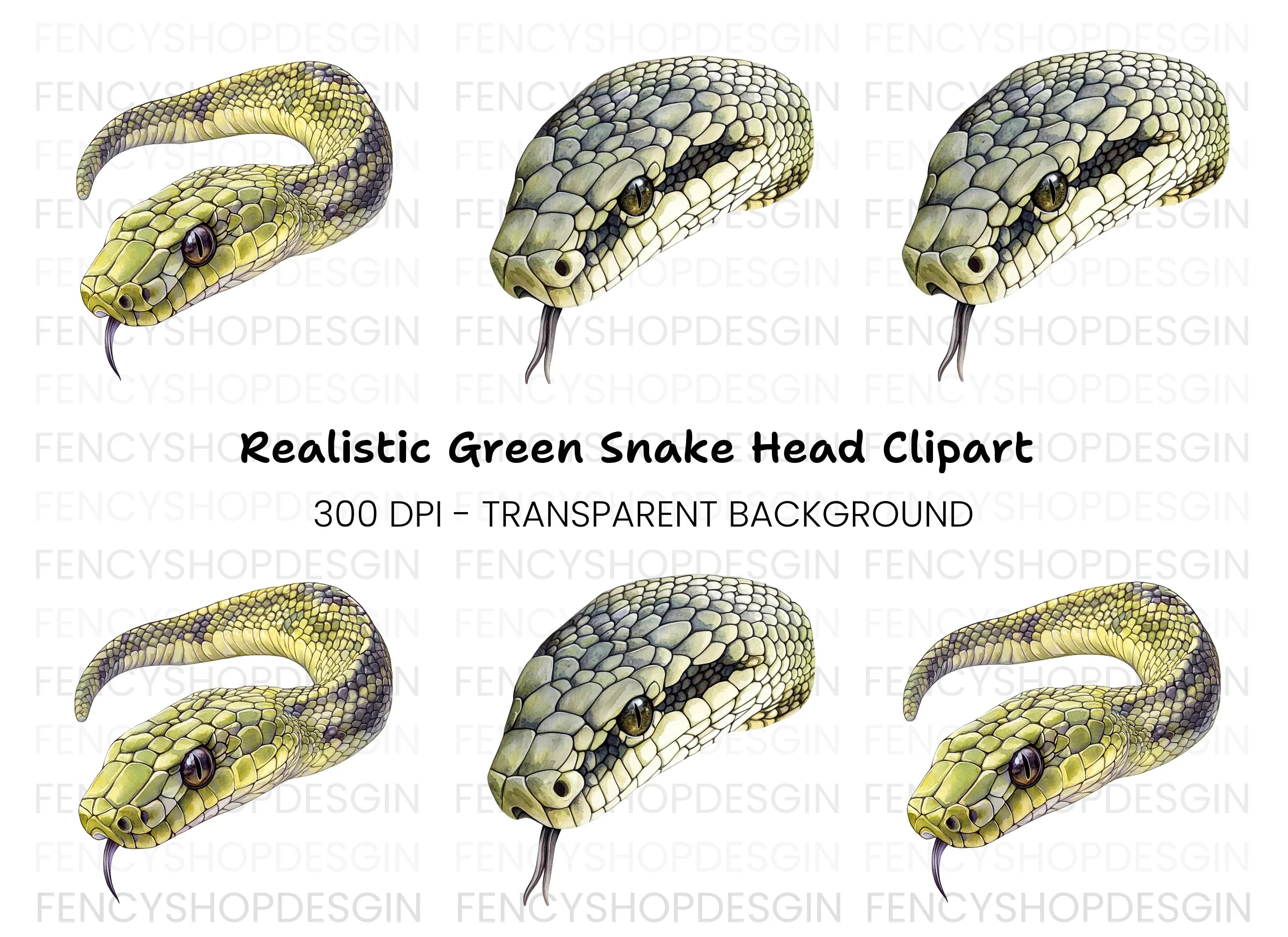 Realistic Snake Head Clipart Bundle