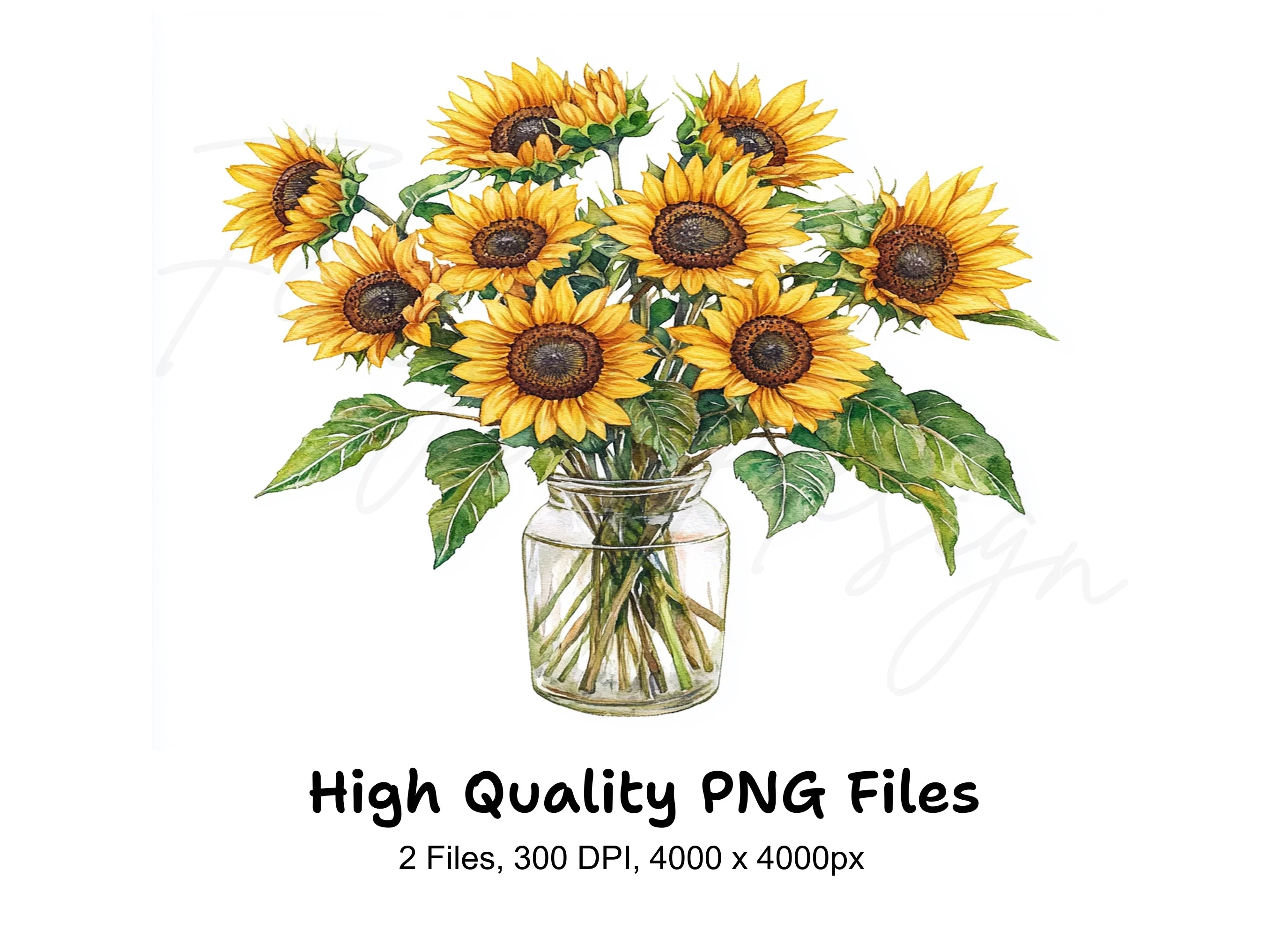 Sunny Sunflower Arrangements in Glass Jars Clipart Bundle