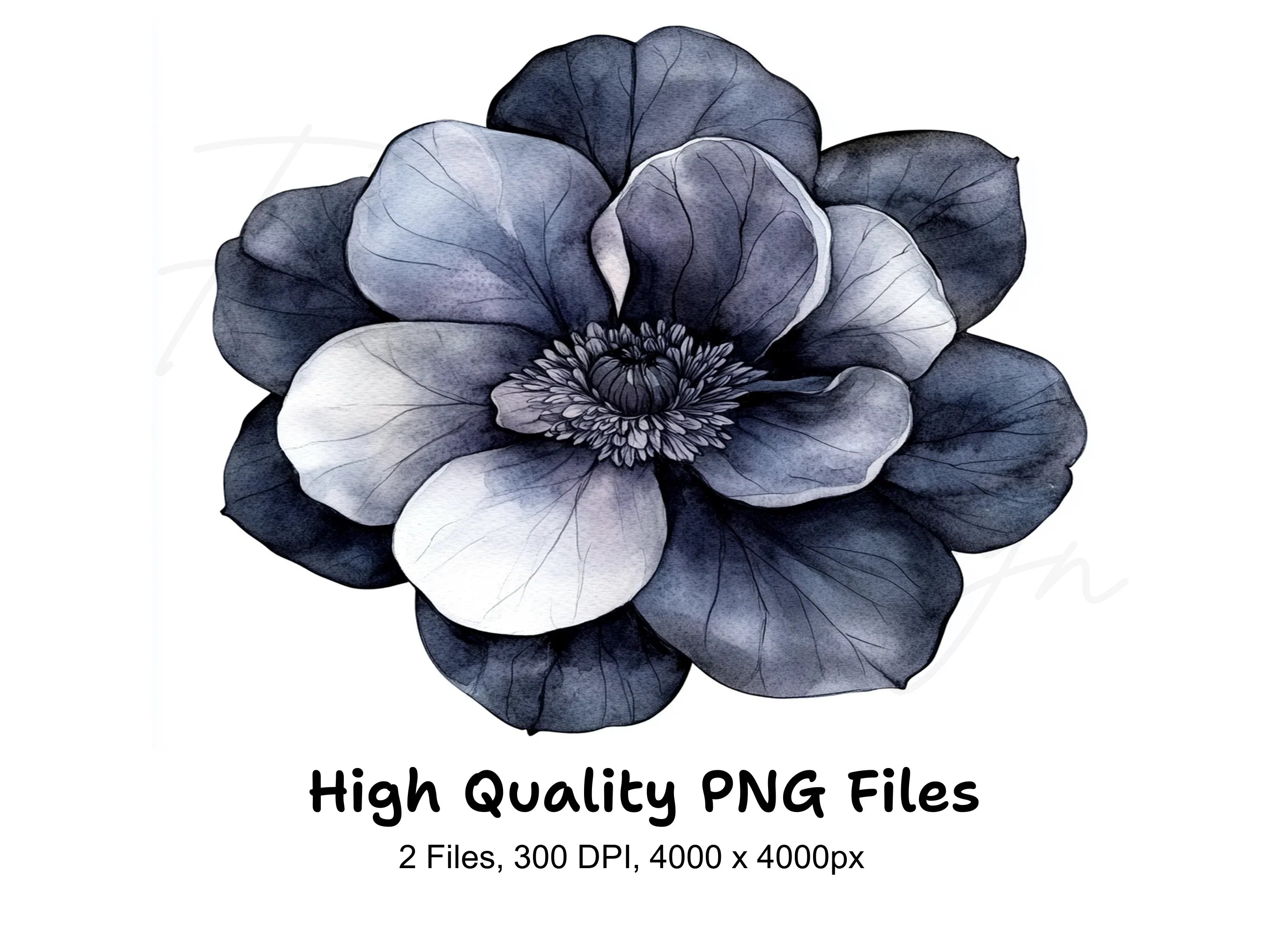 Dark Moody Flower Clipart Bundle