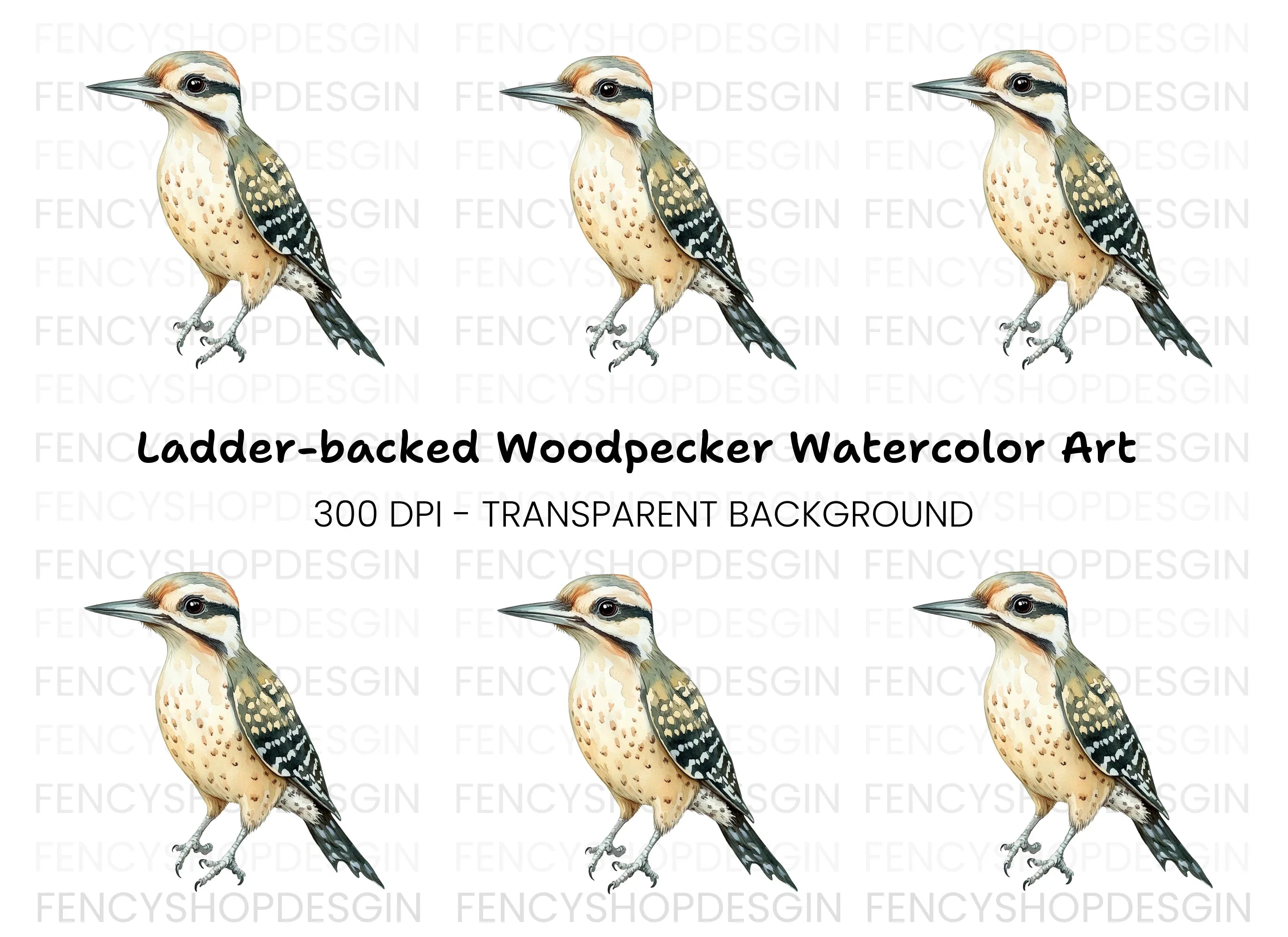 Cute Spotted Woodpecker Clipart Bundle