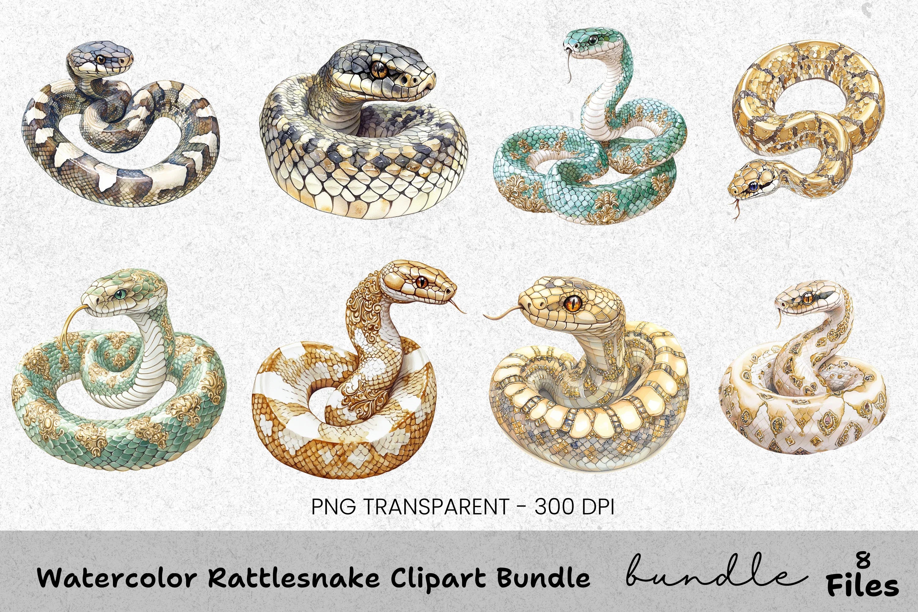 Rattlesnake Clipart Bundle