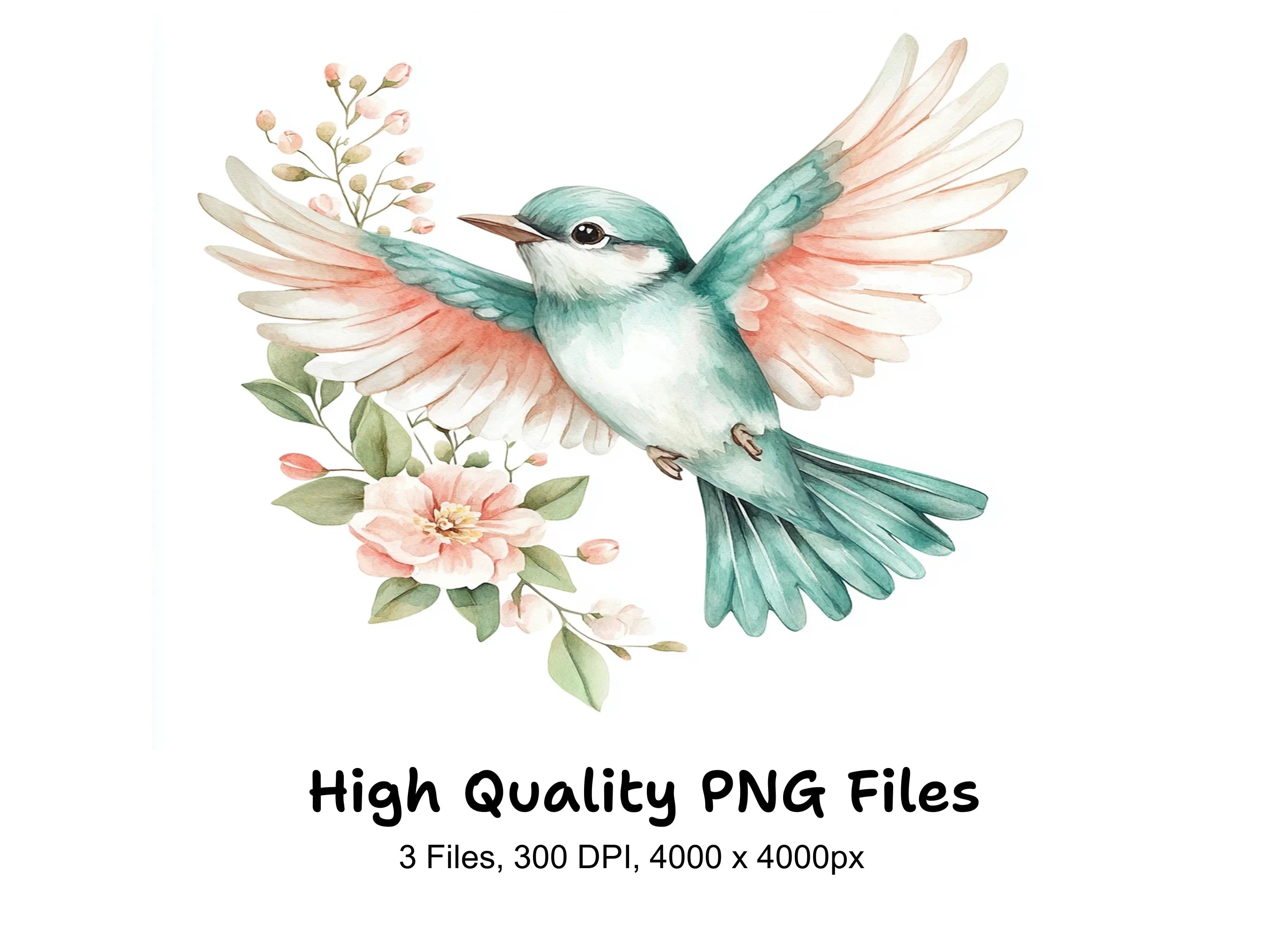 Birds and Floral Clipart Bundle