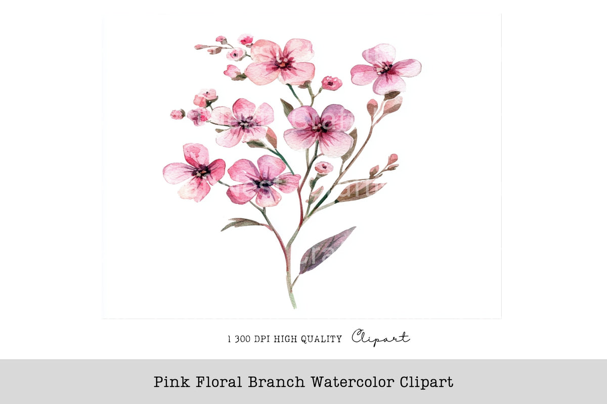 Pink Floral Branch Clipart Bundle