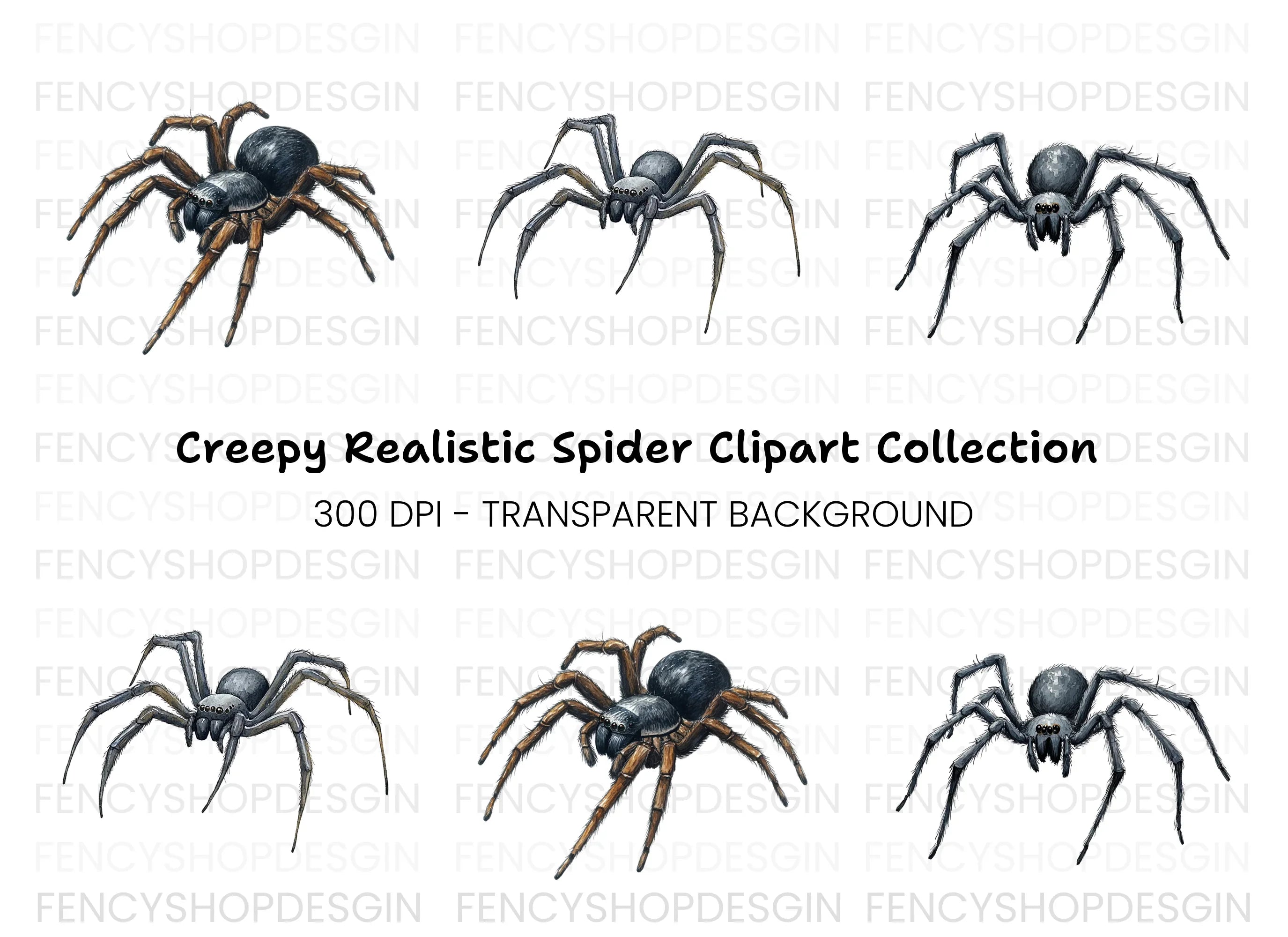 Realistic Spider Clipart Bundle