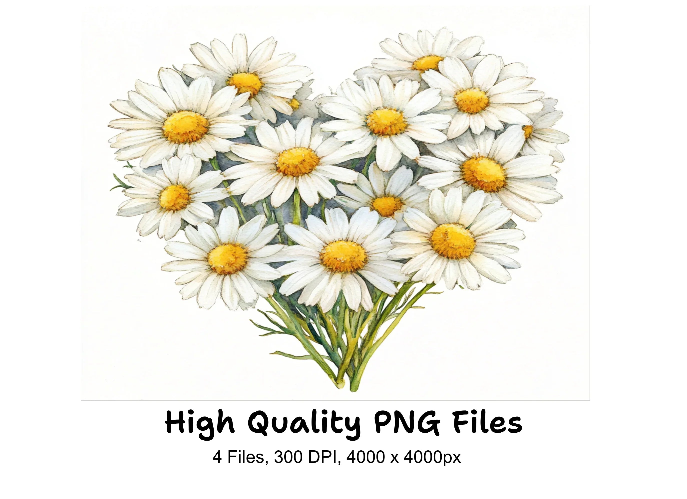 Daisy Flower Bouquets Clipart Bundle