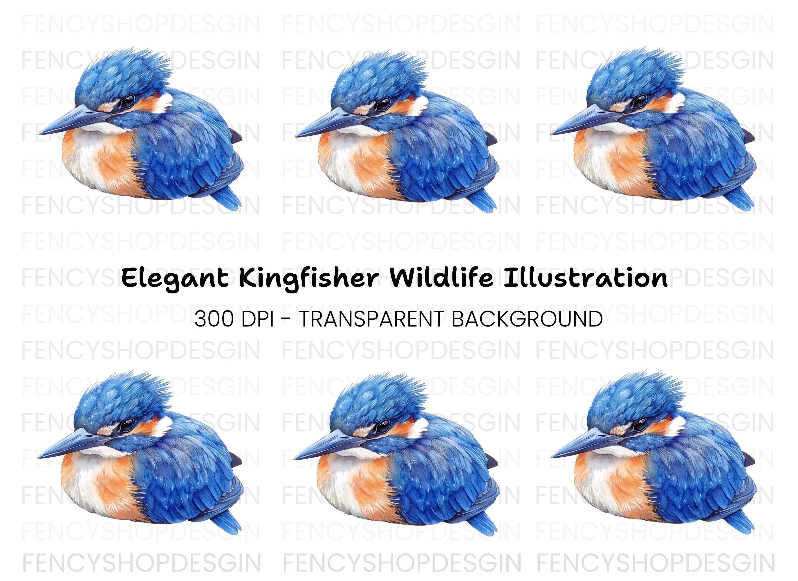 Cute Fluffy Kingfisher Baby Clipart Bundle