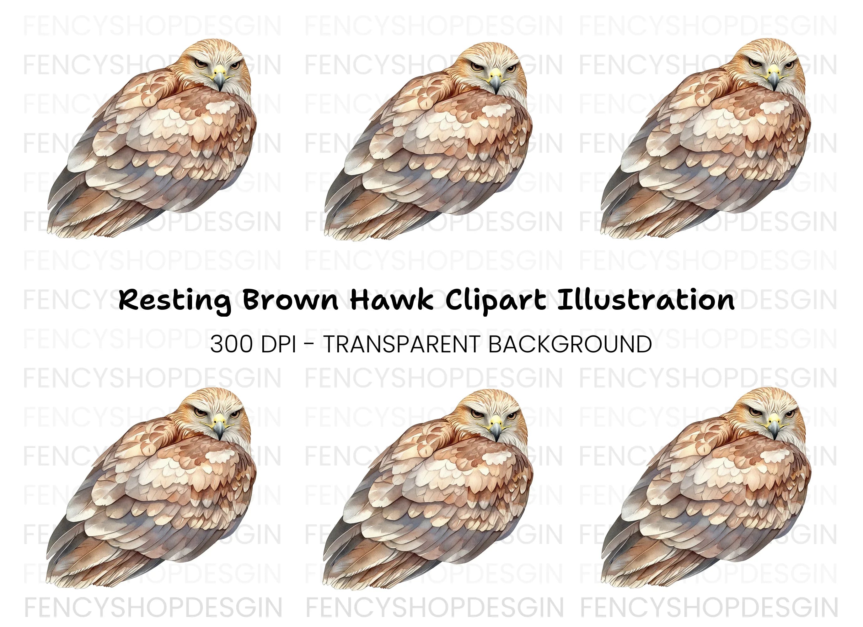 Fierce Hawk Illustration Clipart Bundle