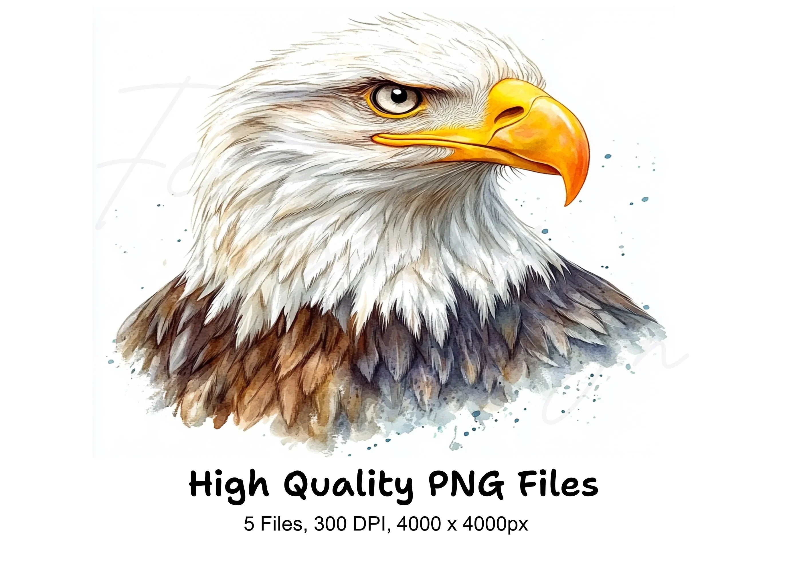 Dynamic Eagle Head Clipart Bundle