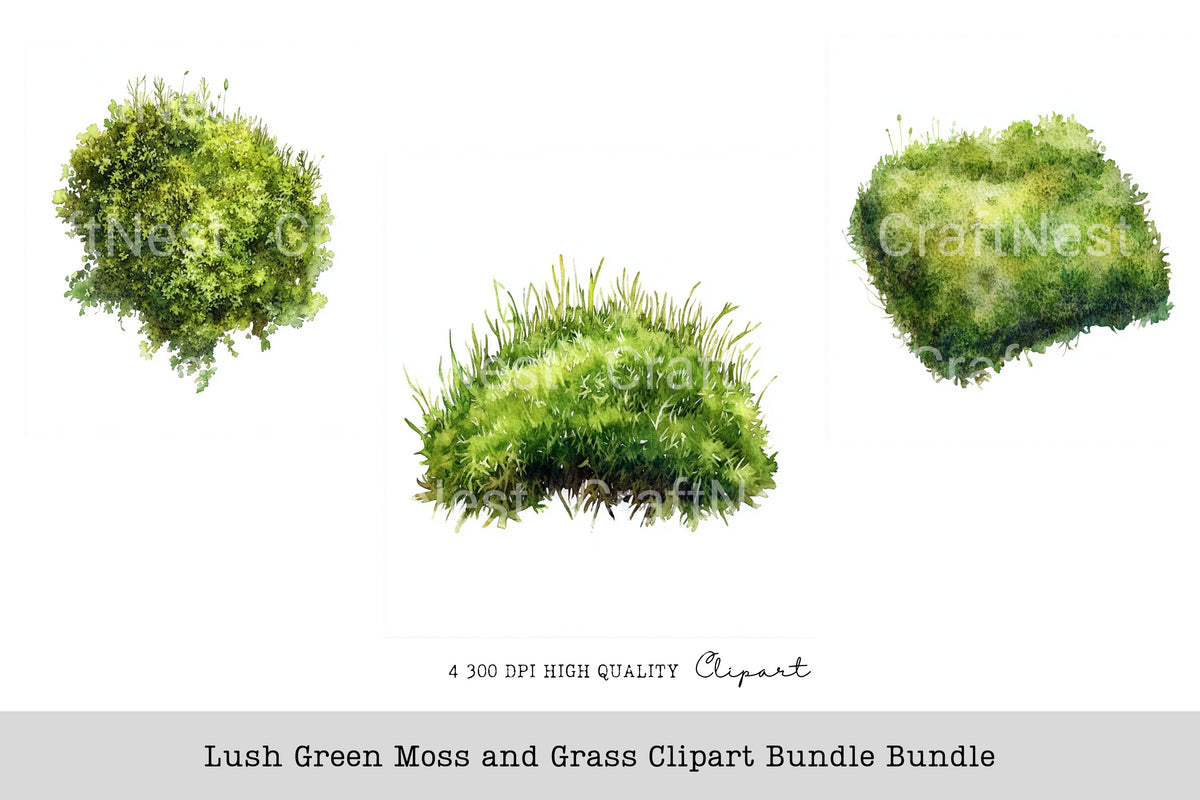Lush Green Moss And Grass Clipart Bundle