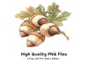 Acorn Oak Leaf Clipart Bundle
