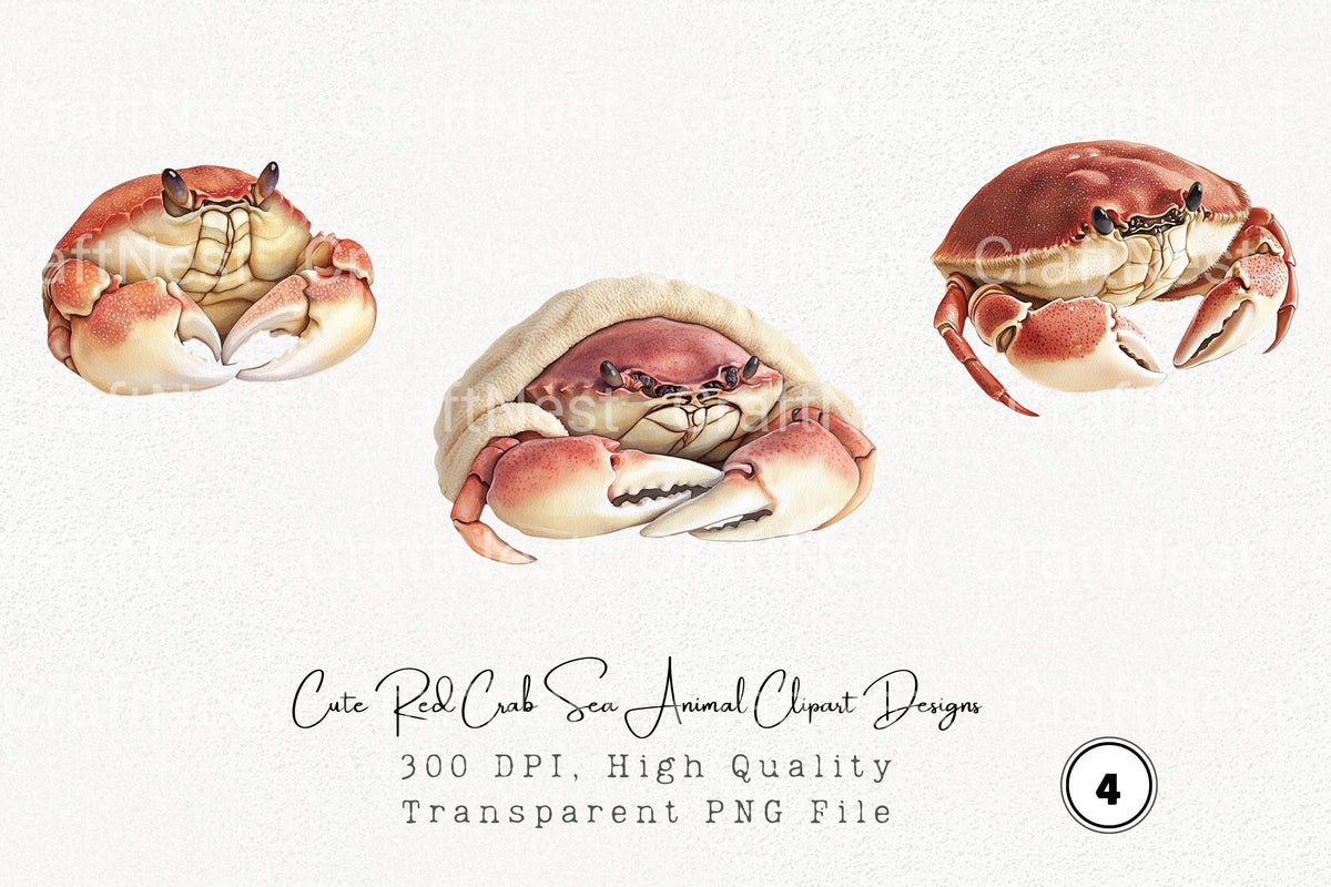 Cute Red Crab Sea Animal Designs Clipart Bundle