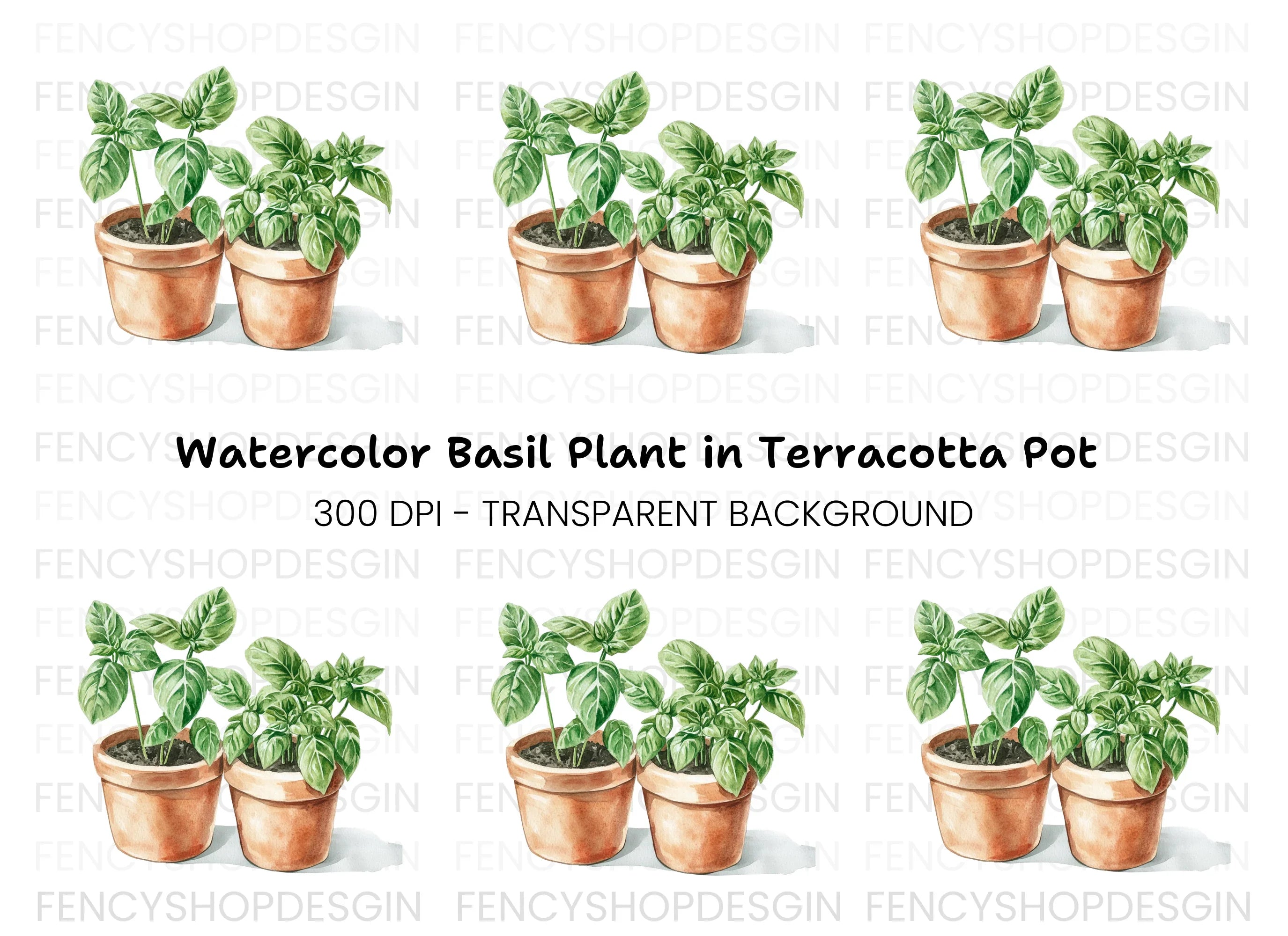 Fresh Basil Plants in Terracotta Pots Clipart Bundle
