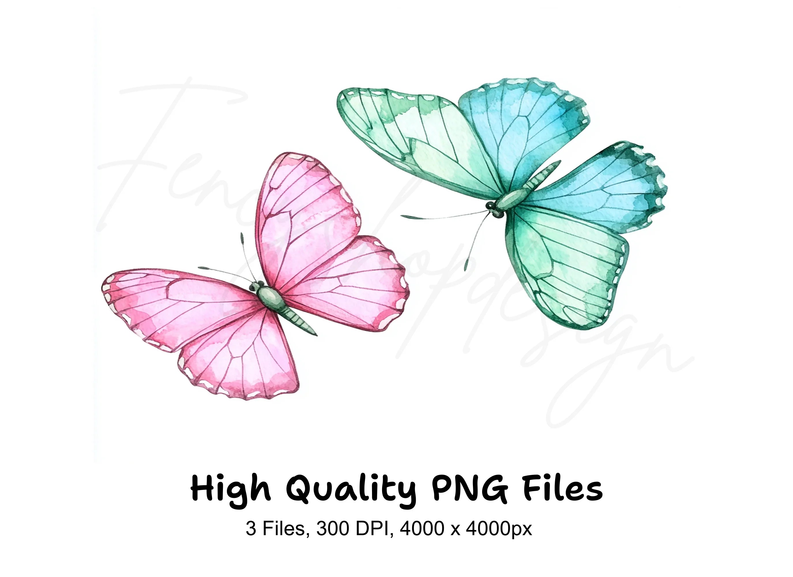 Colorful Butterfly Clipart Bundle