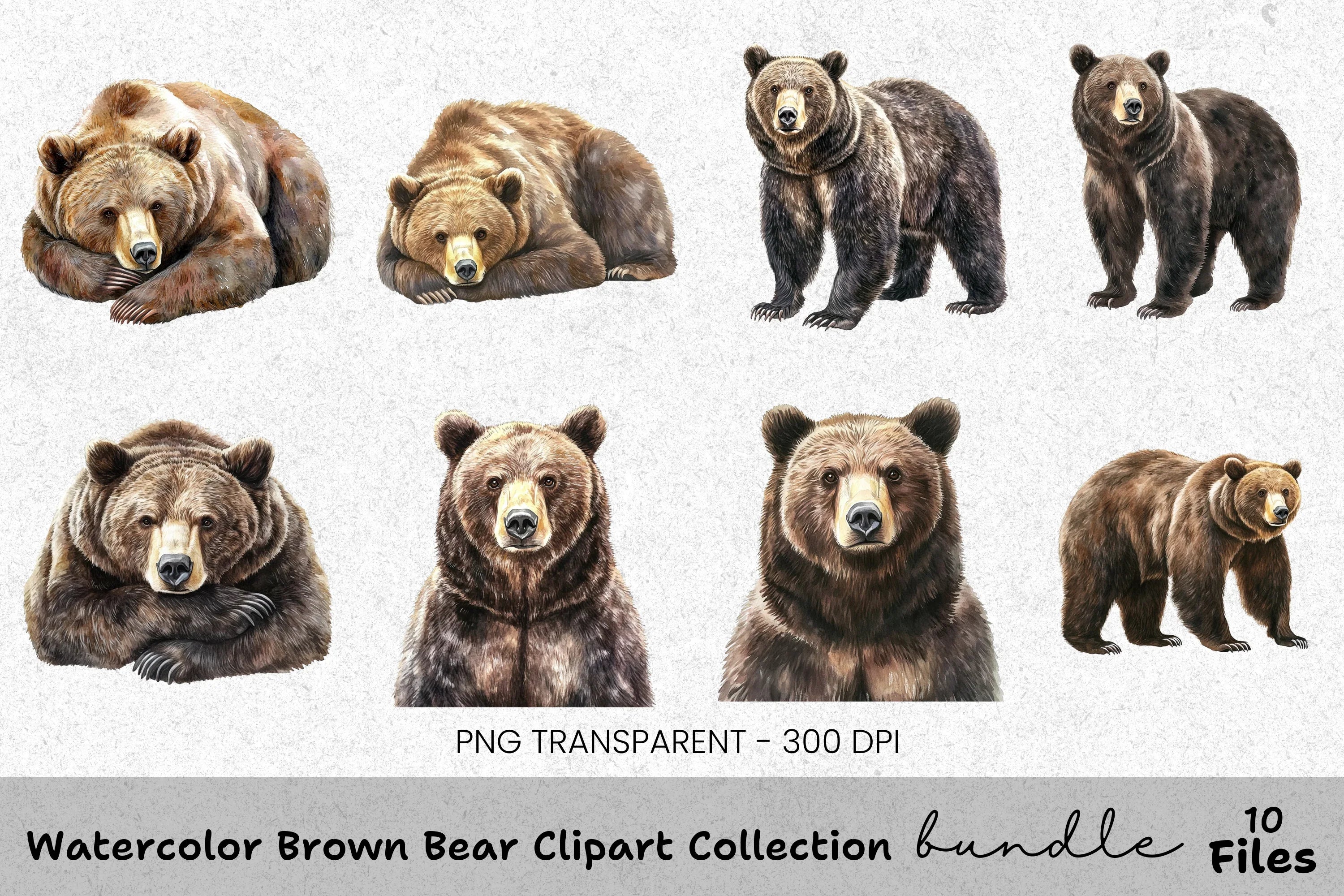 Brown Bear Clipart Bundle