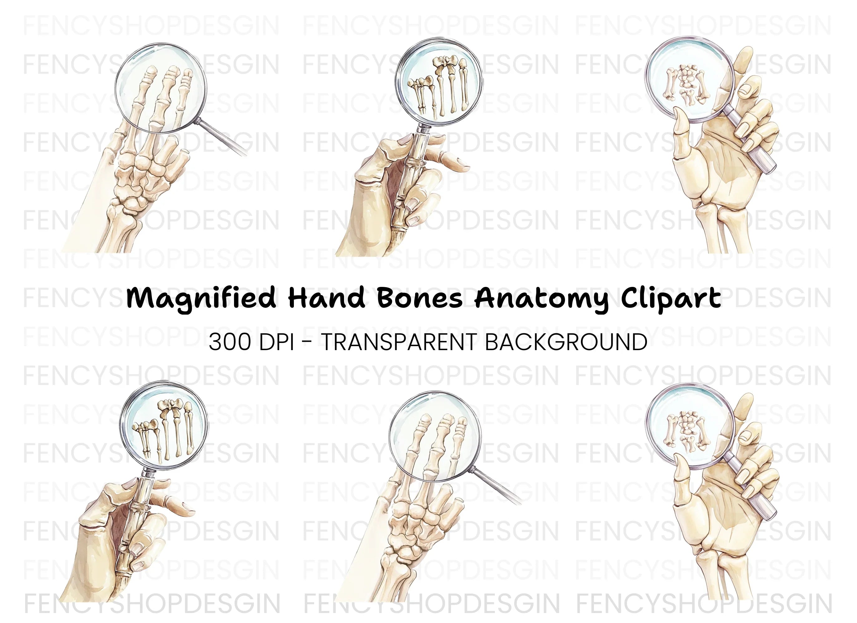 Hand Bones Magnified Clipart Bundle