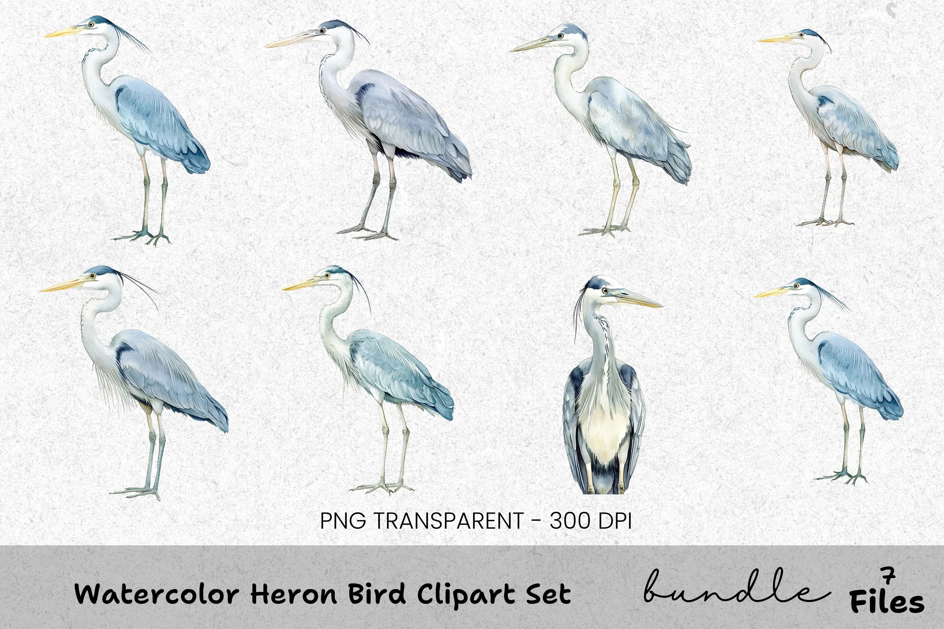Heron Bird Clipart Bundle
