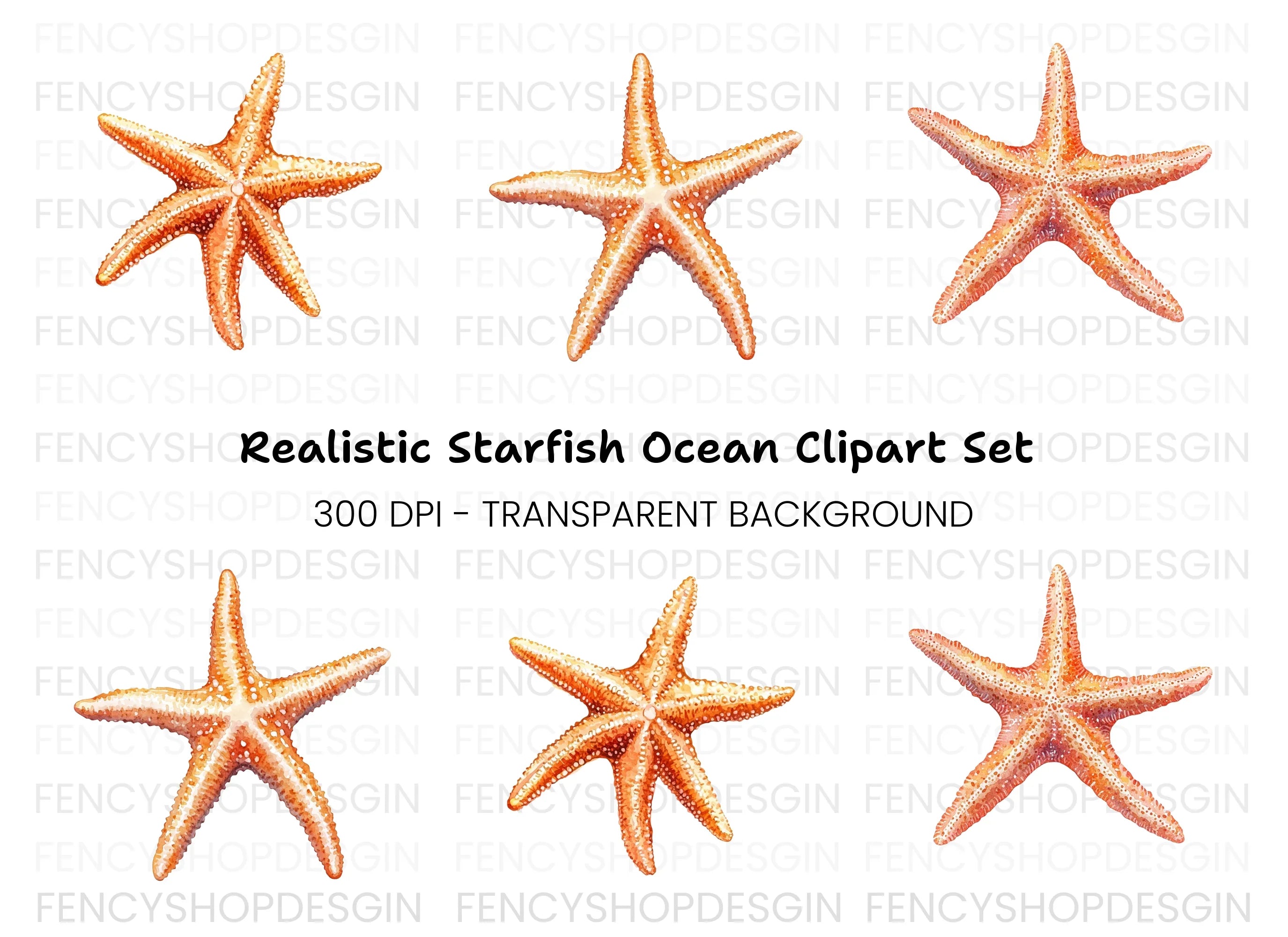 Realistic Starfish Clipart Bundle