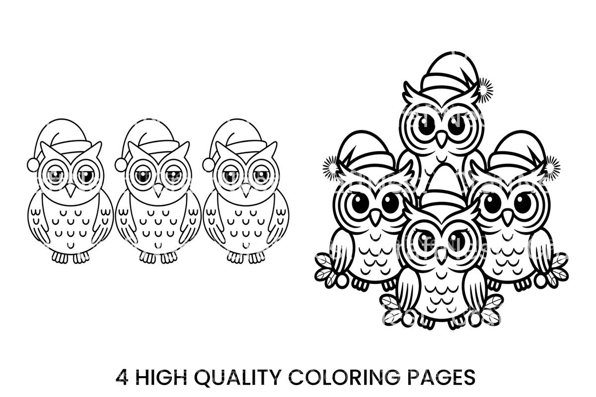 Festive Owls Christmas Coloring Books