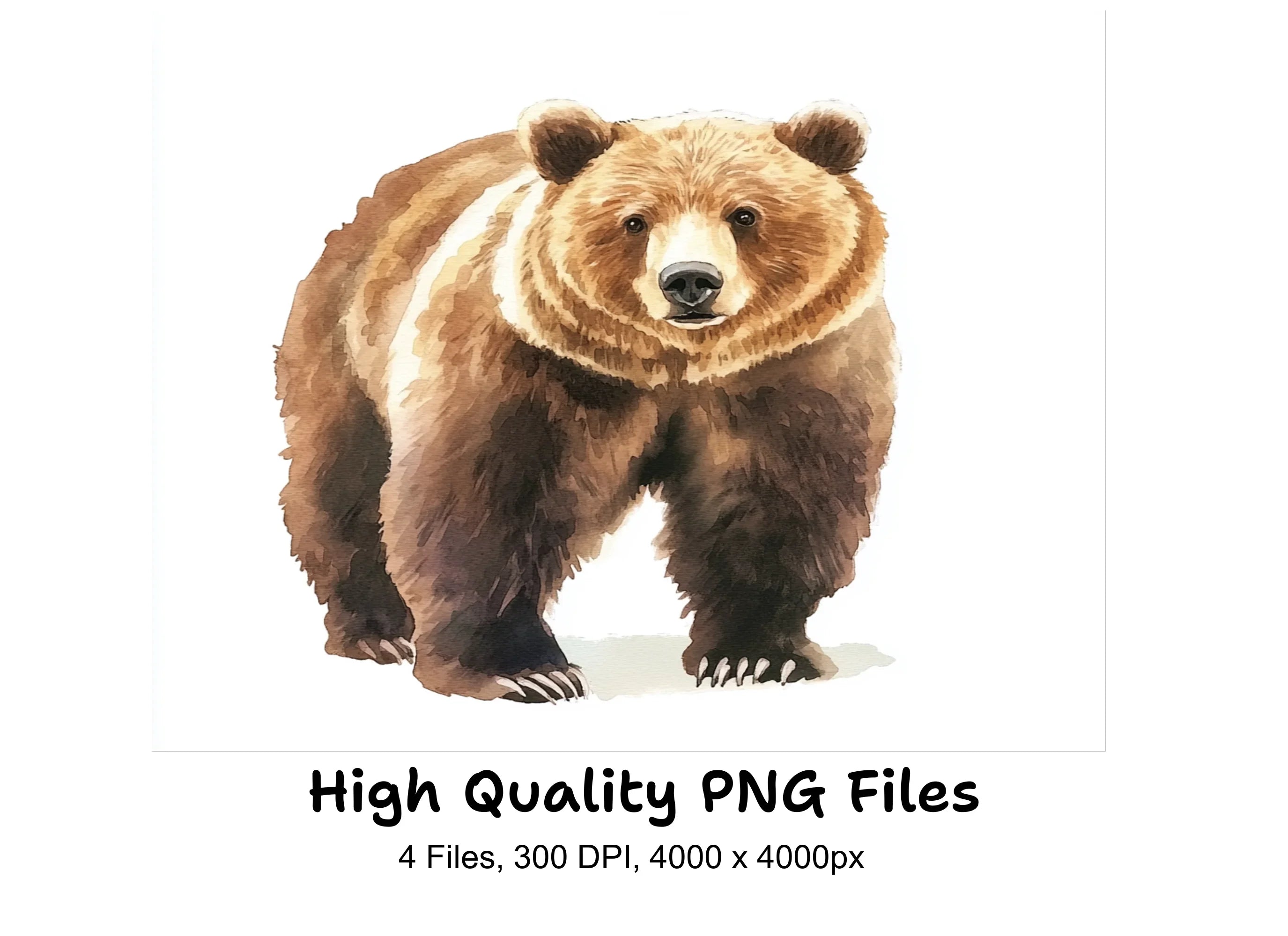 Grizzly Bear Clipart Bundle