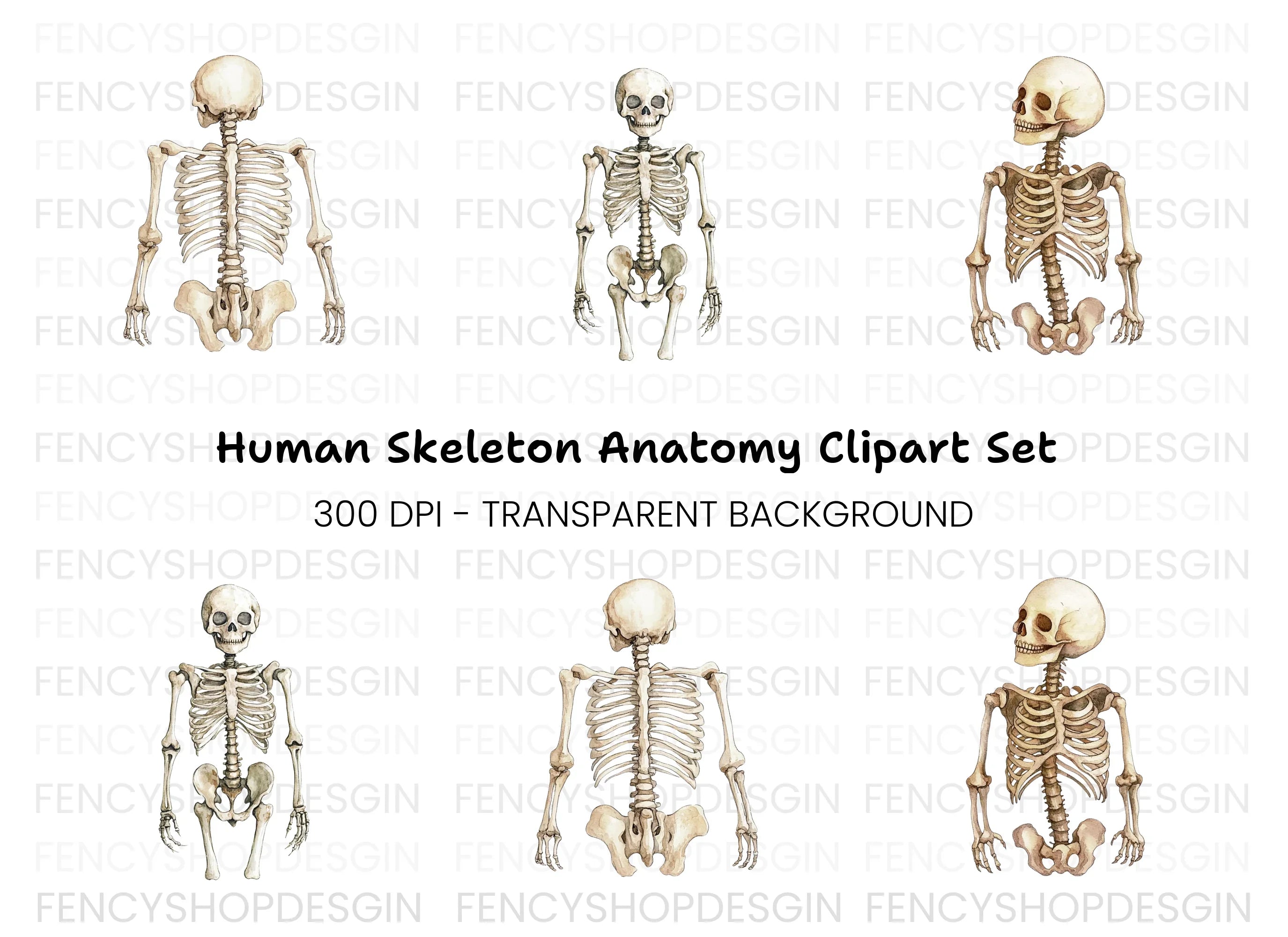 Human Skeleton Clipart Bundle