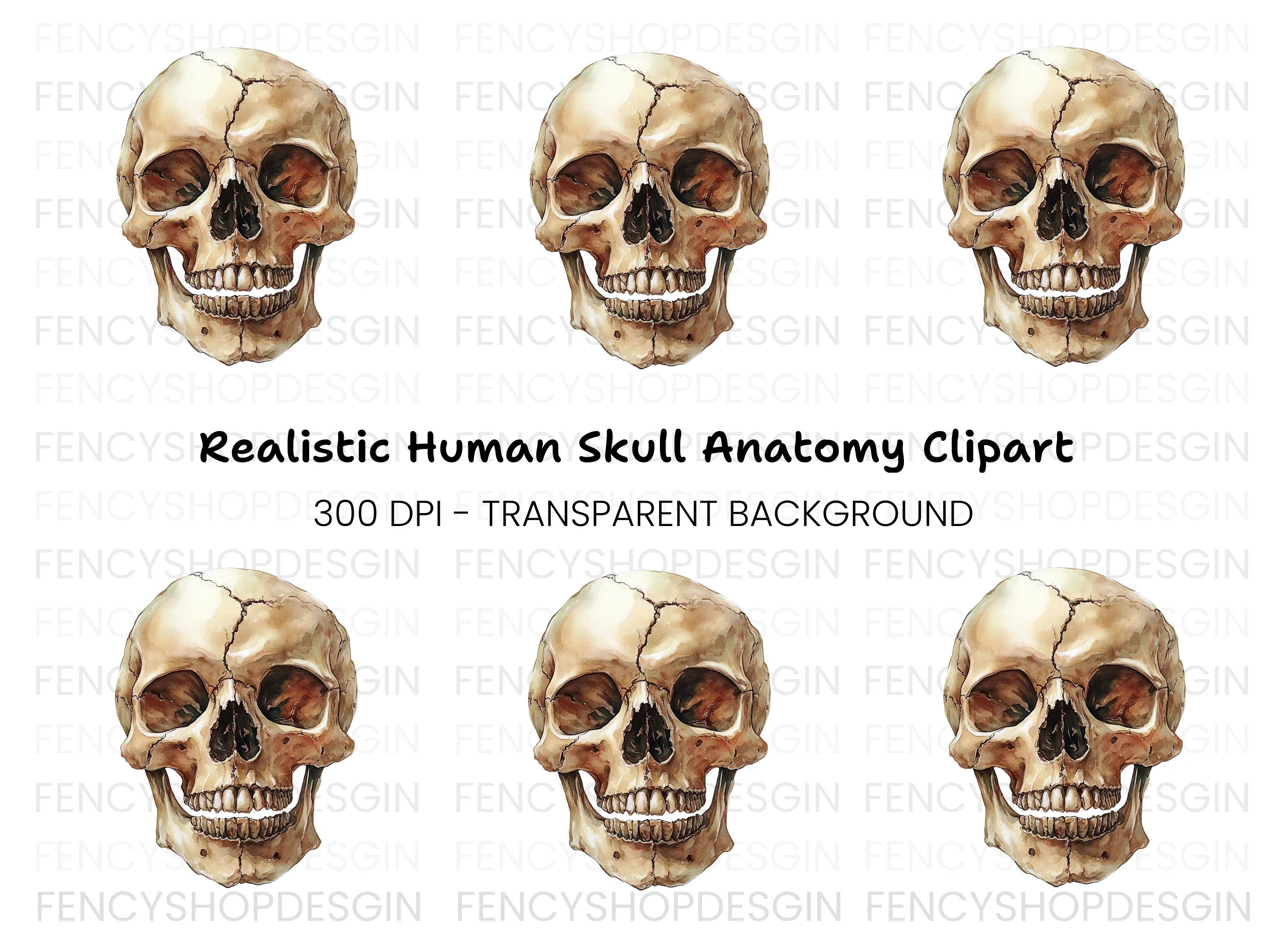 Human Skull Clipart Bundle