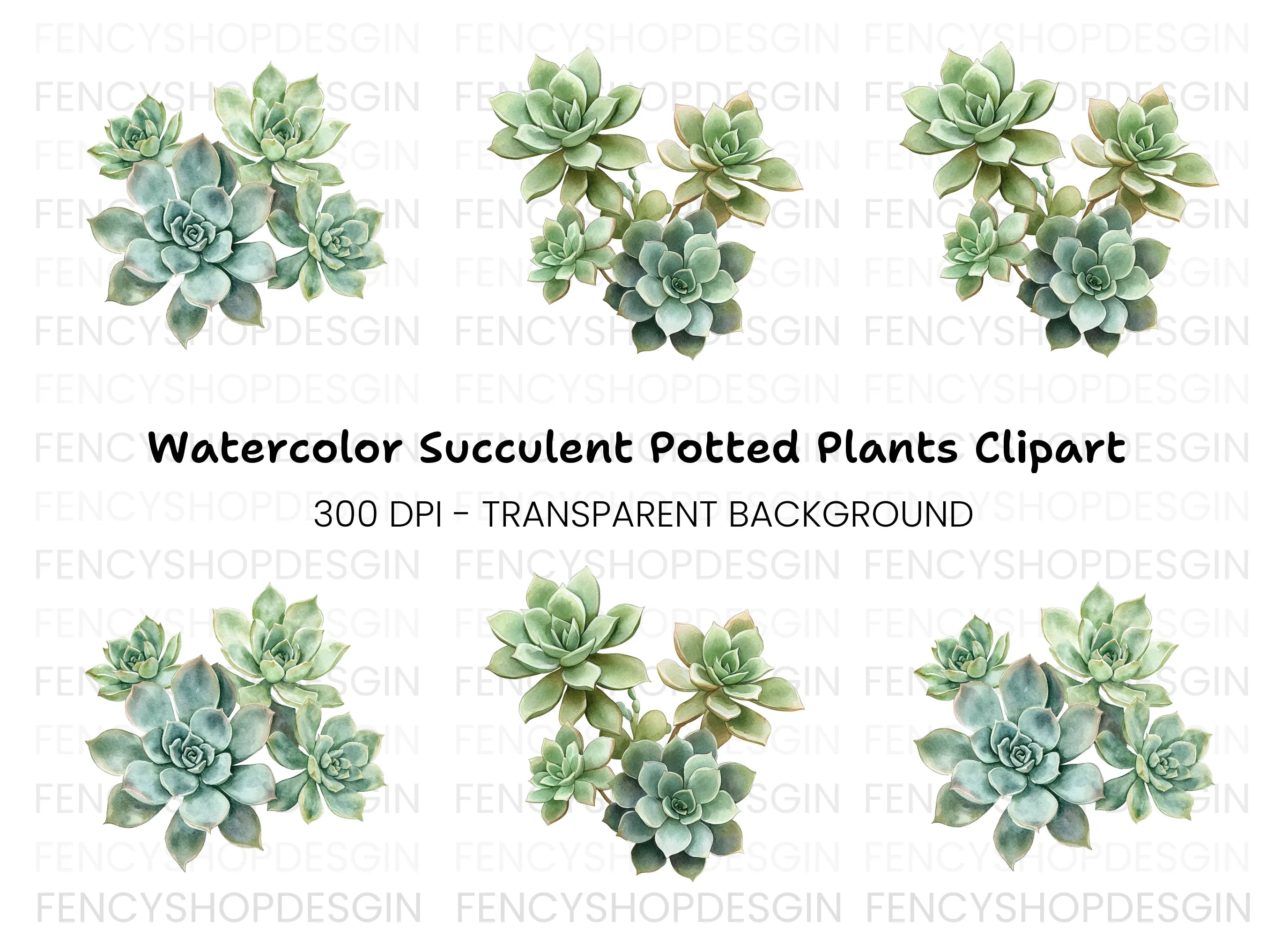 Lush Green Succulent Arrangement Clipart Bundle